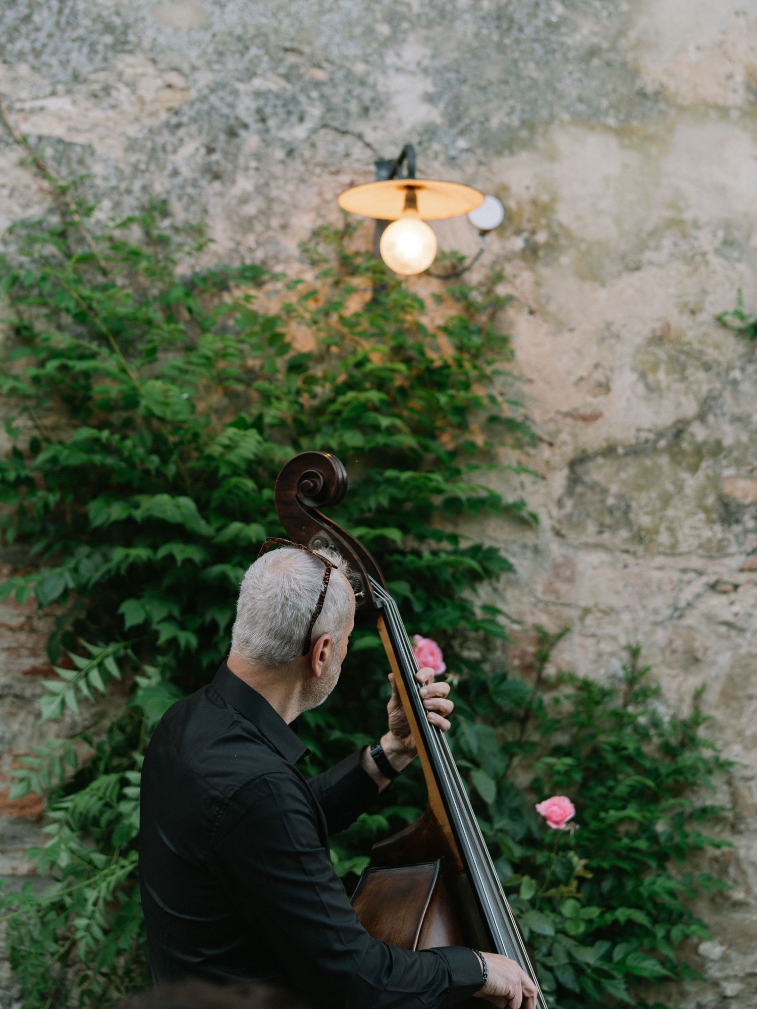 Musician playing double bass against a moss-covered stone wall with a glowing lamp and pink rose.