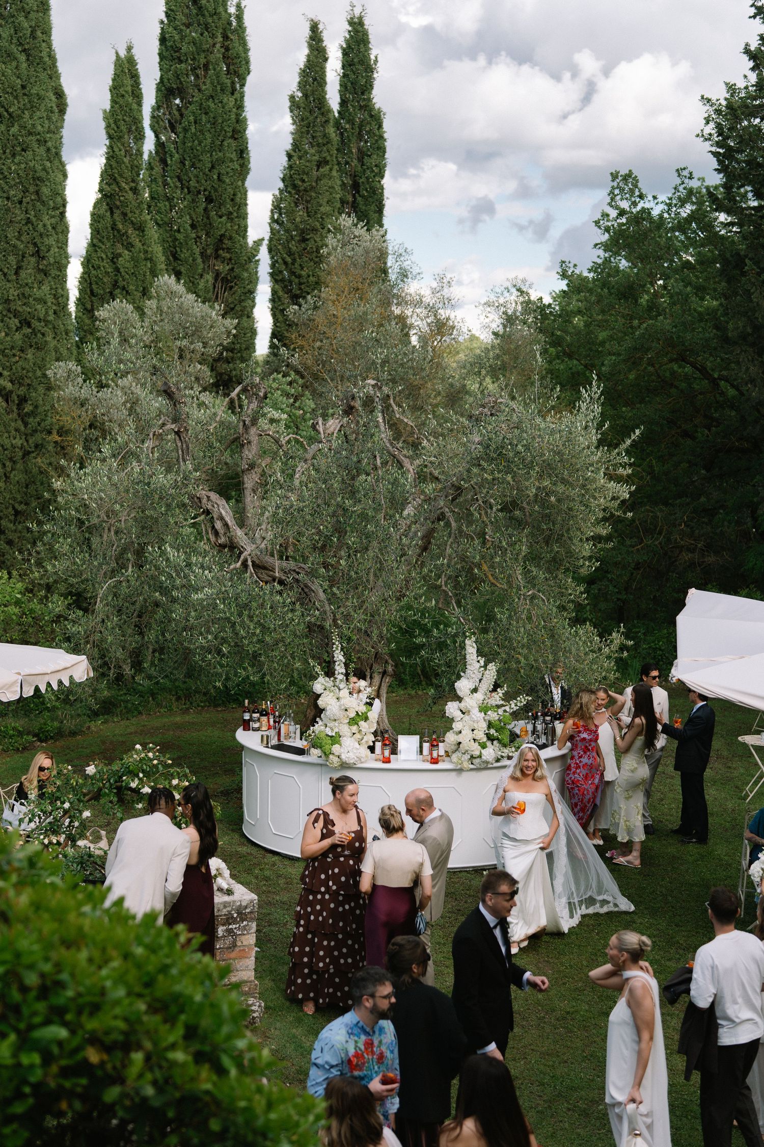 Wedding guests gather around a circular bar surrounded by olive trees and cypress at a Tuscan reception.