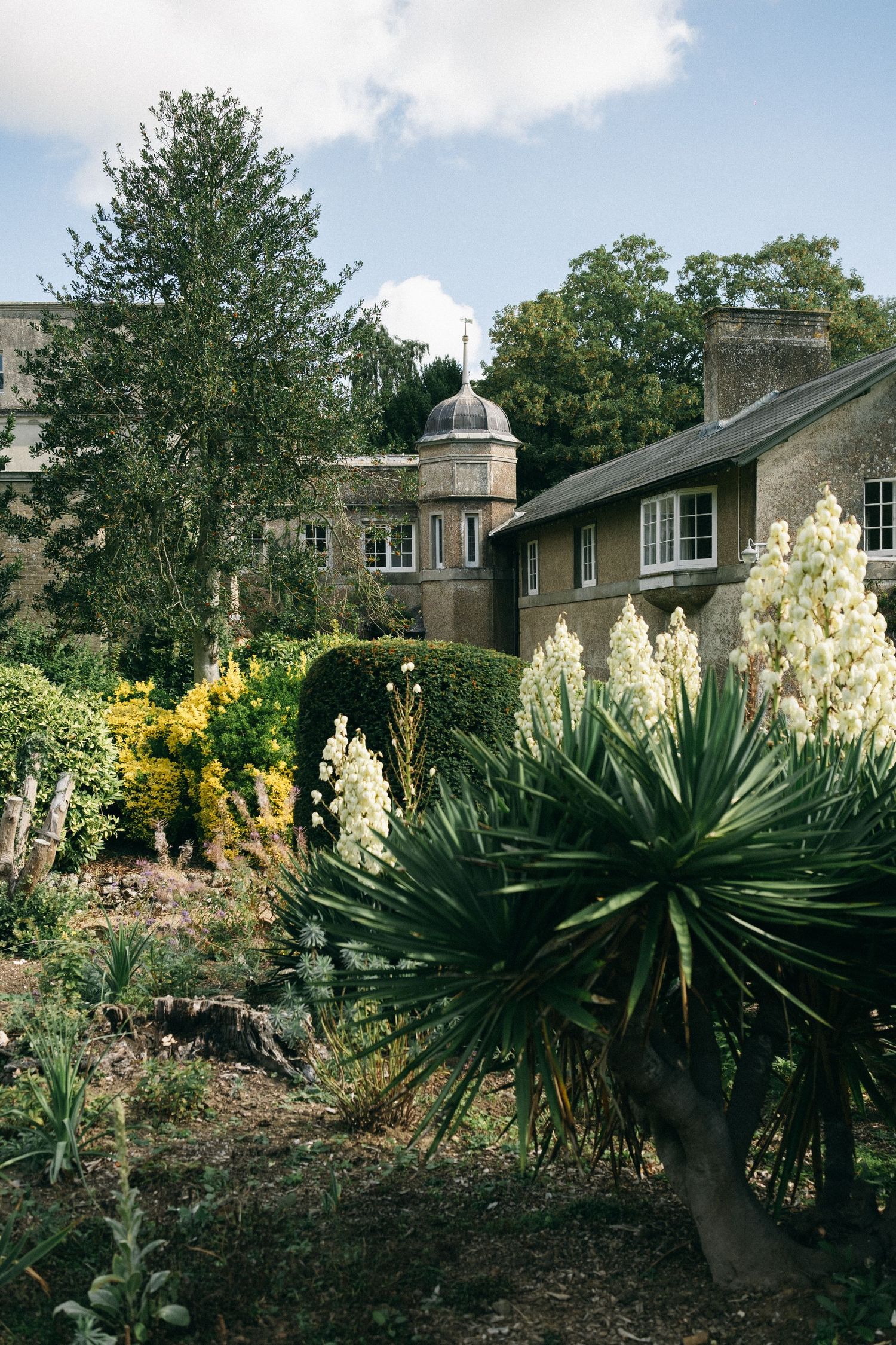 Lush garden with yucca plants and white flowers beside a stone building with a domed structure under a cloudy sky.