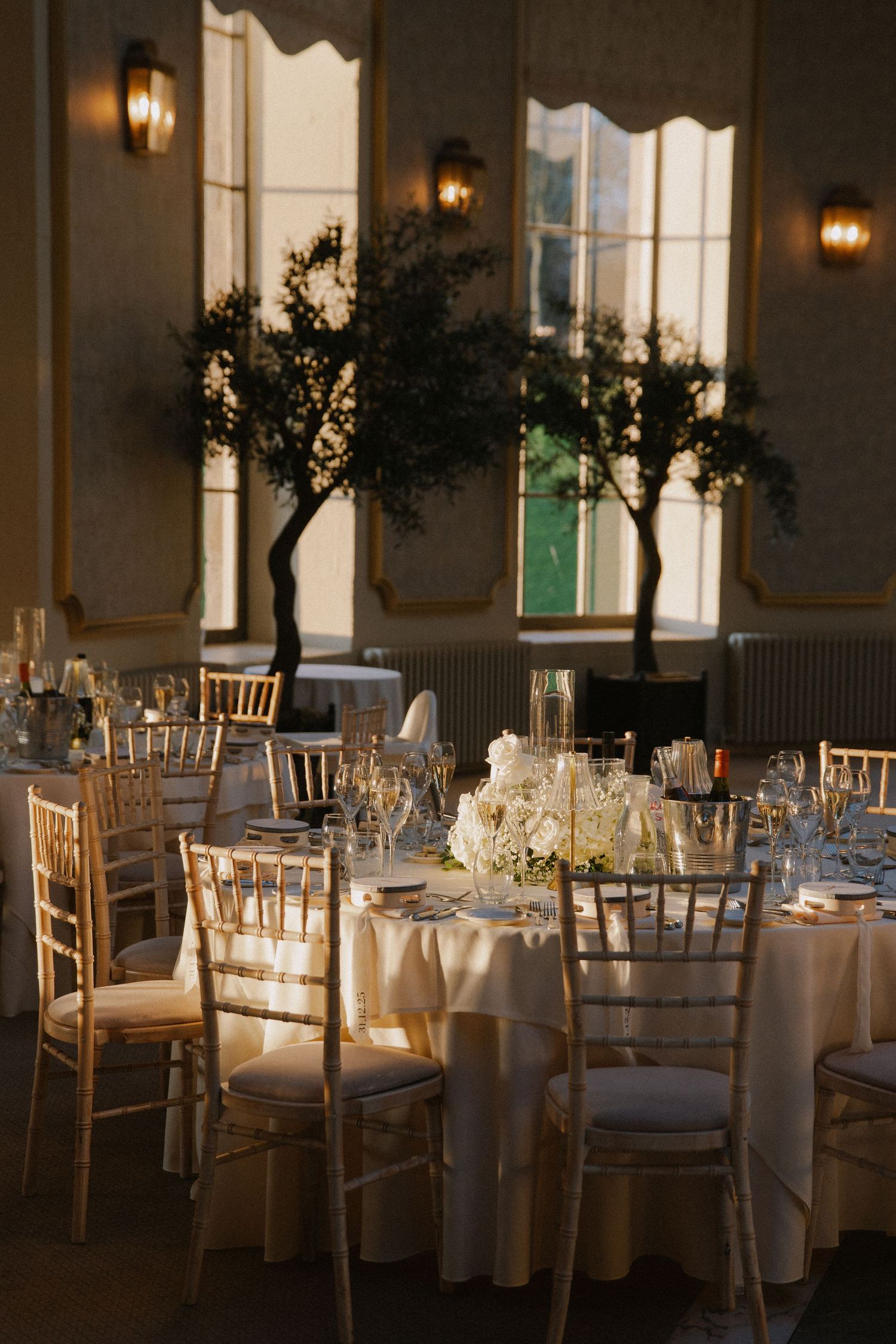 Elegant wedding reception hall with gold chiavari chairs, white floral centerpieces, and olive trees in warm candlelight.