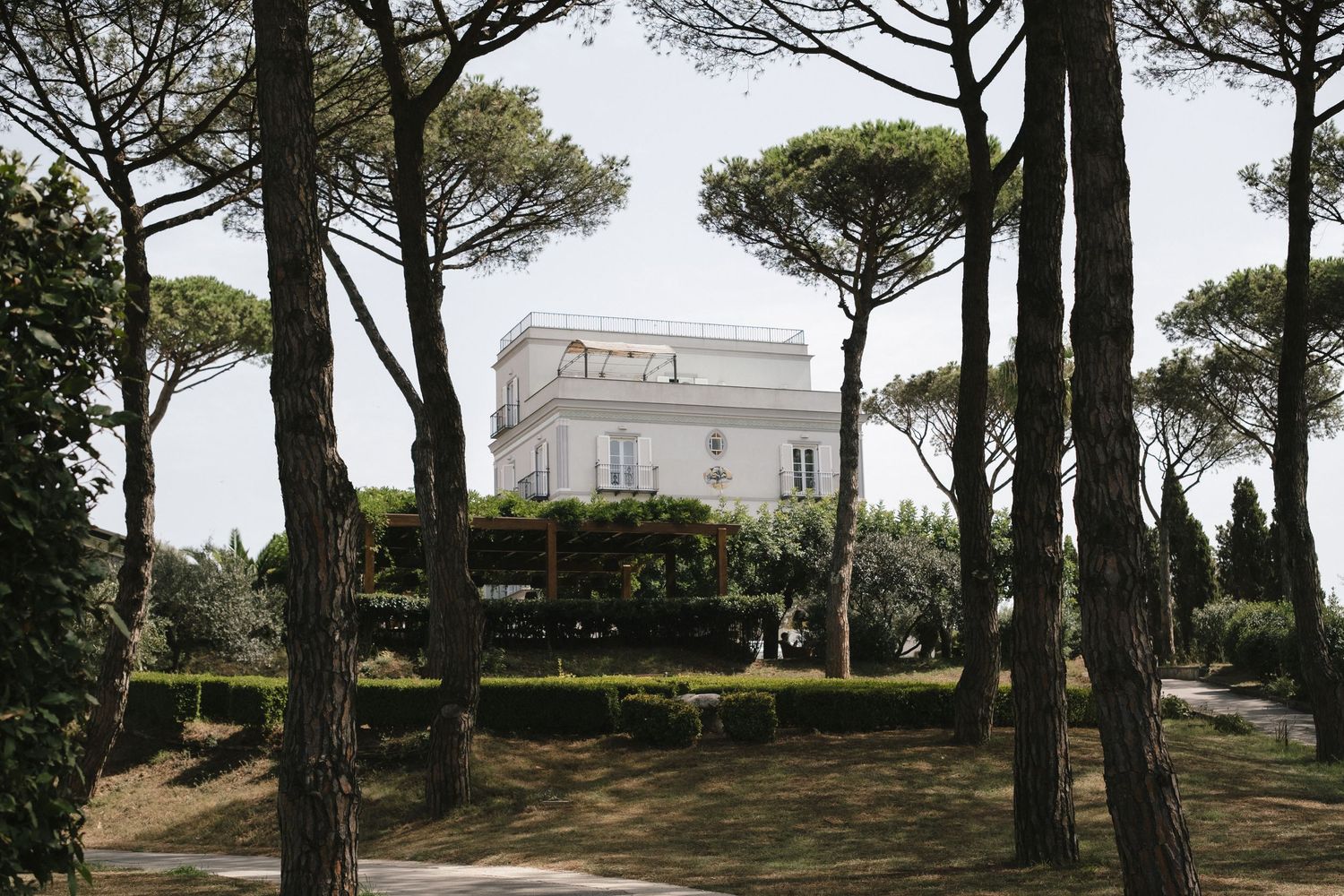Elegant white Italian villa surrounded by tall umbrella pine trees and manicured hedges in a serene garden setting.
