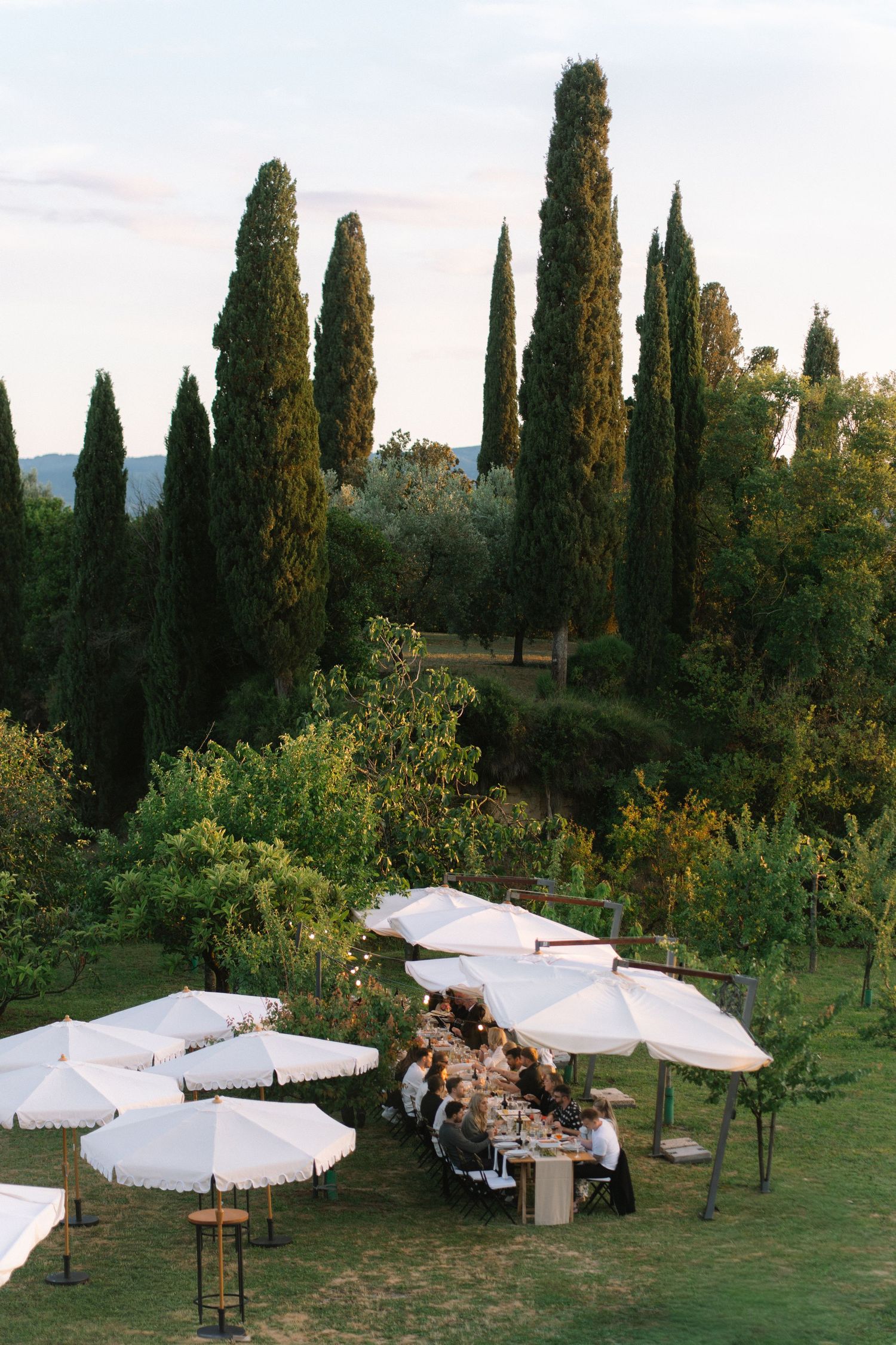 Aerial view of an elegant outdoor wedding reception with long tables and white umbrellas surrounded by cypress trees.