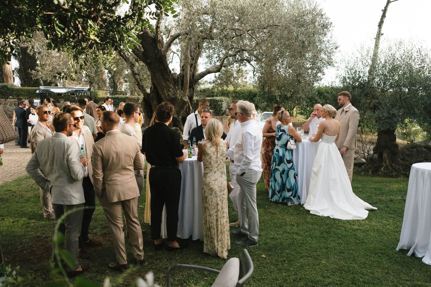 Outdoor wedding reception with guests mingling on a garden lawn surrounded by olive trees.