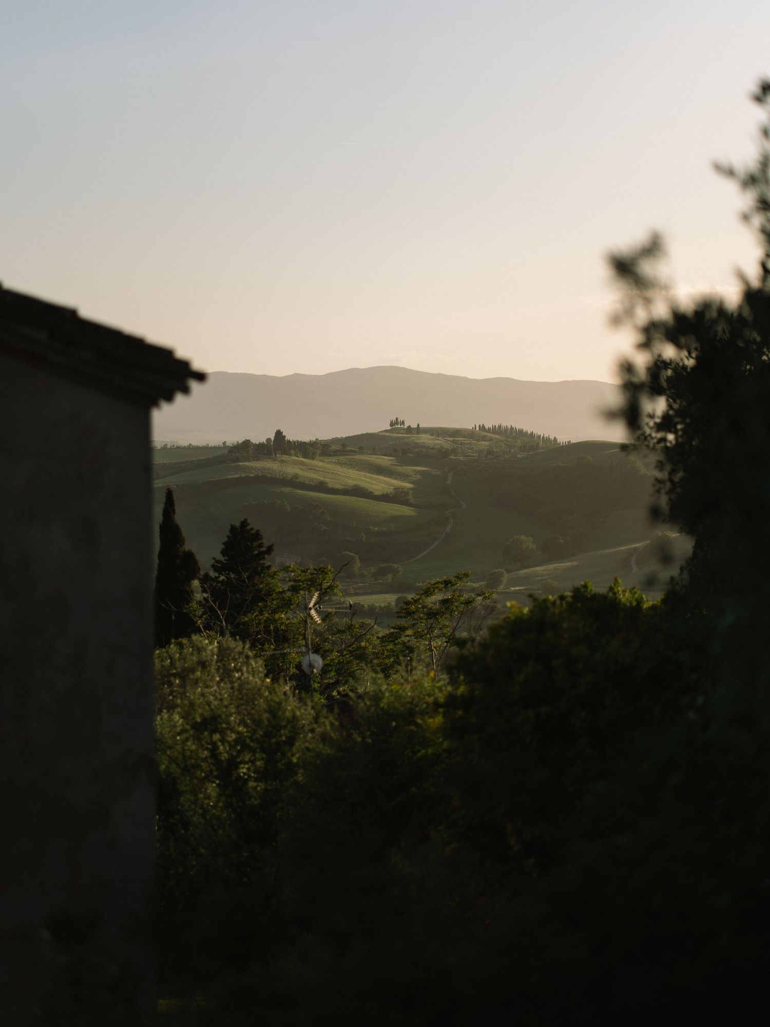 Serene Tuscan landscape at dusk with rolling hills, cypress trees, and misty mountain backdrop.