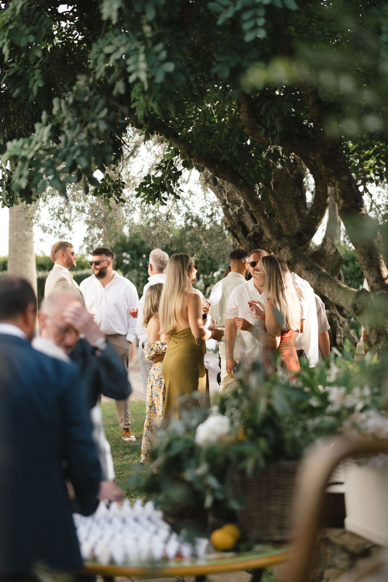 Wedding guests mingling outdoors under a large olive tree during a garden cocktail hour reception.