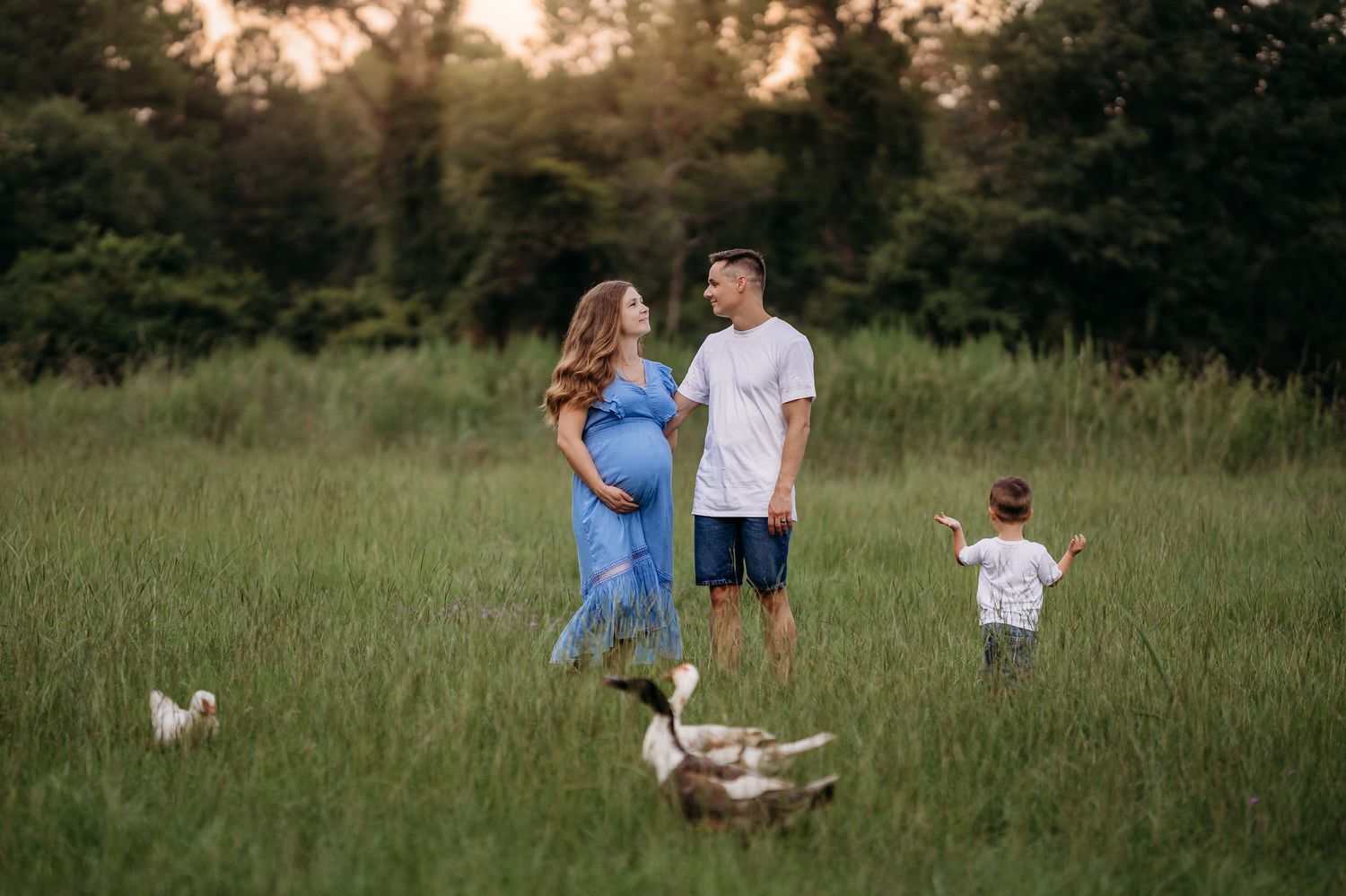 Pregnant couple with toddler in sunny green field, surrounded by ducks, golden hour maternity photo session.