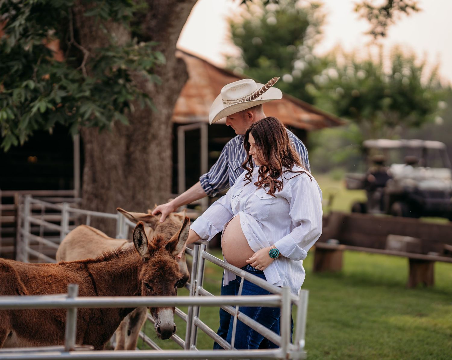 Pregnant couple shares a tender moment with donkeys at a rustic farm, man wearing cowboy hat.