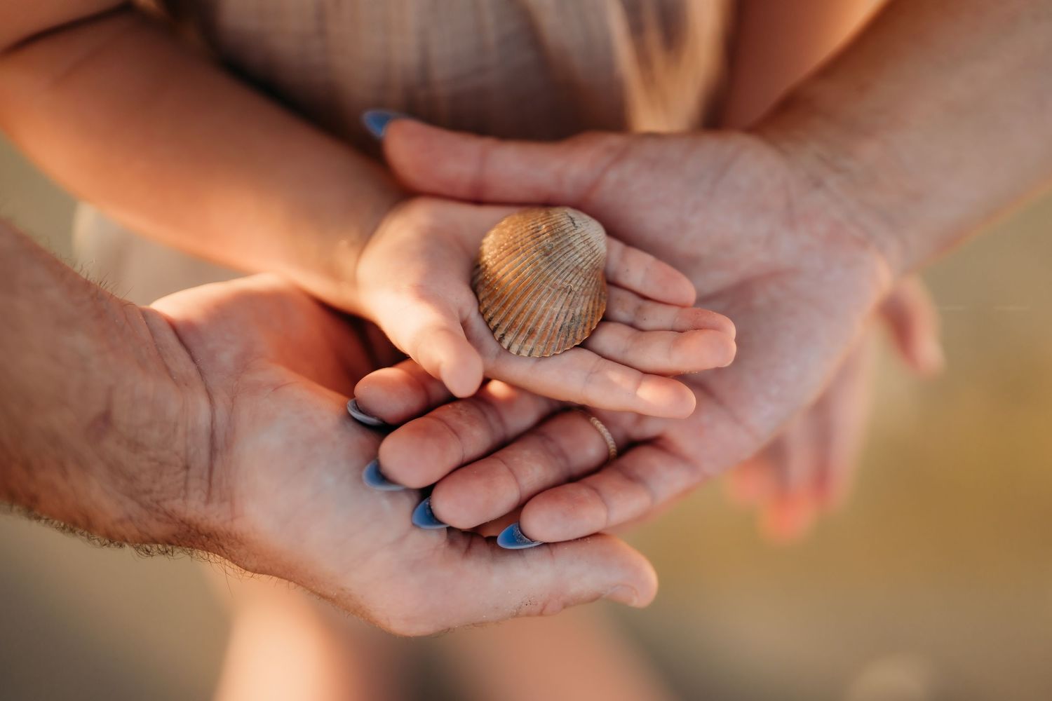 Adult and child hands cupping a small seashell together on a sunny beach day.