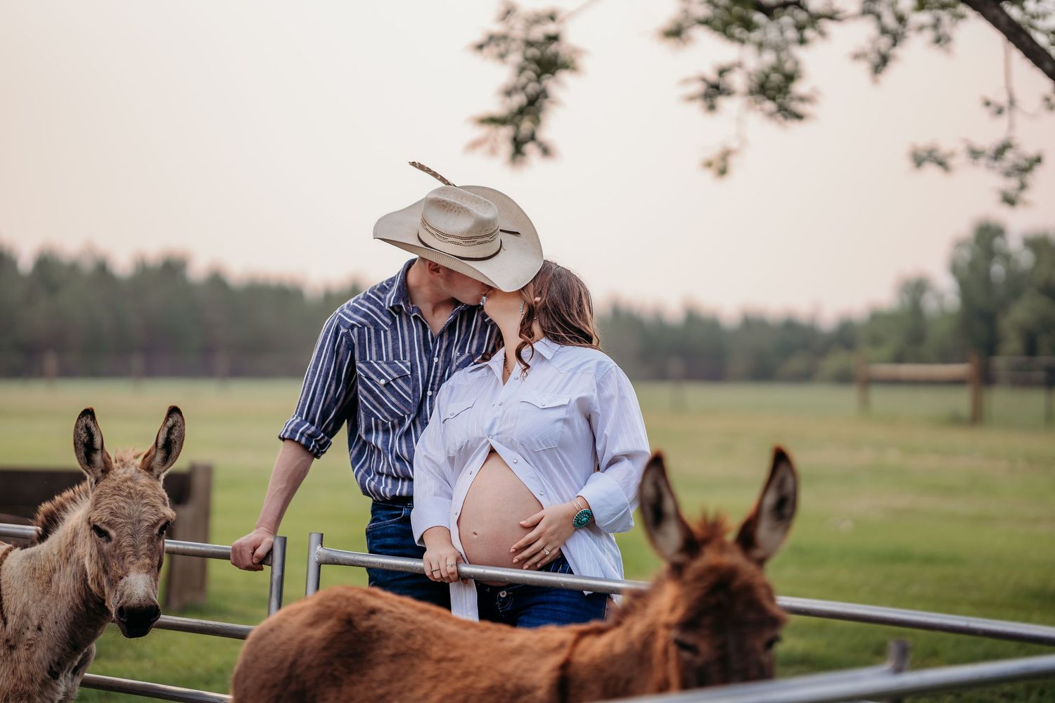 Pregnant couple in cowboy hats posing with donkeys at a farm fence during a maternity photo shoot.