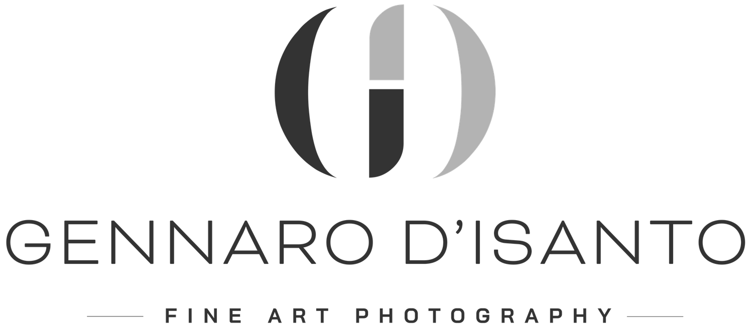 Gennaro D'Isanto logo