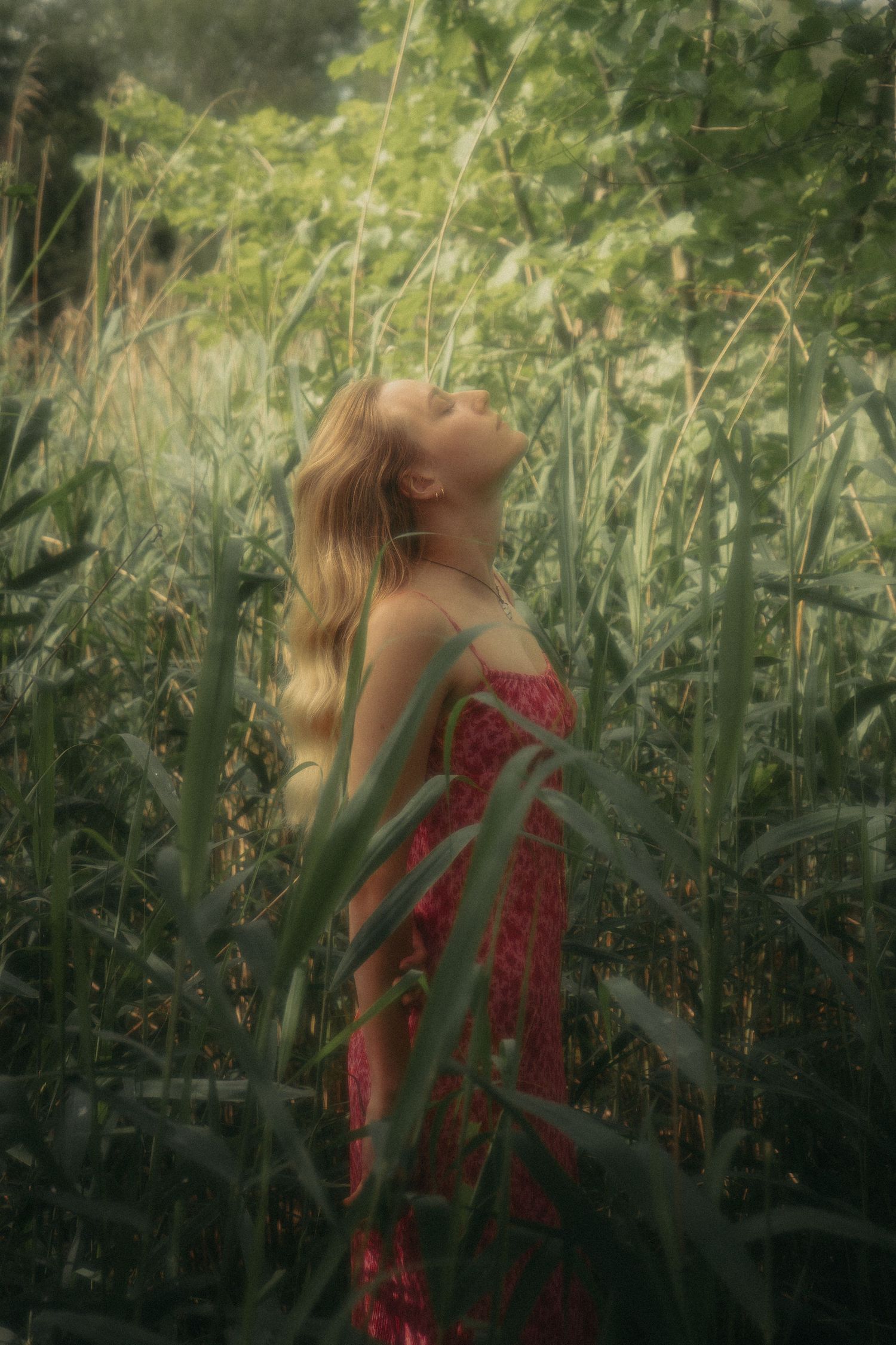 Blonde woman in red floral dress standing with head tilted back among tall green plants.