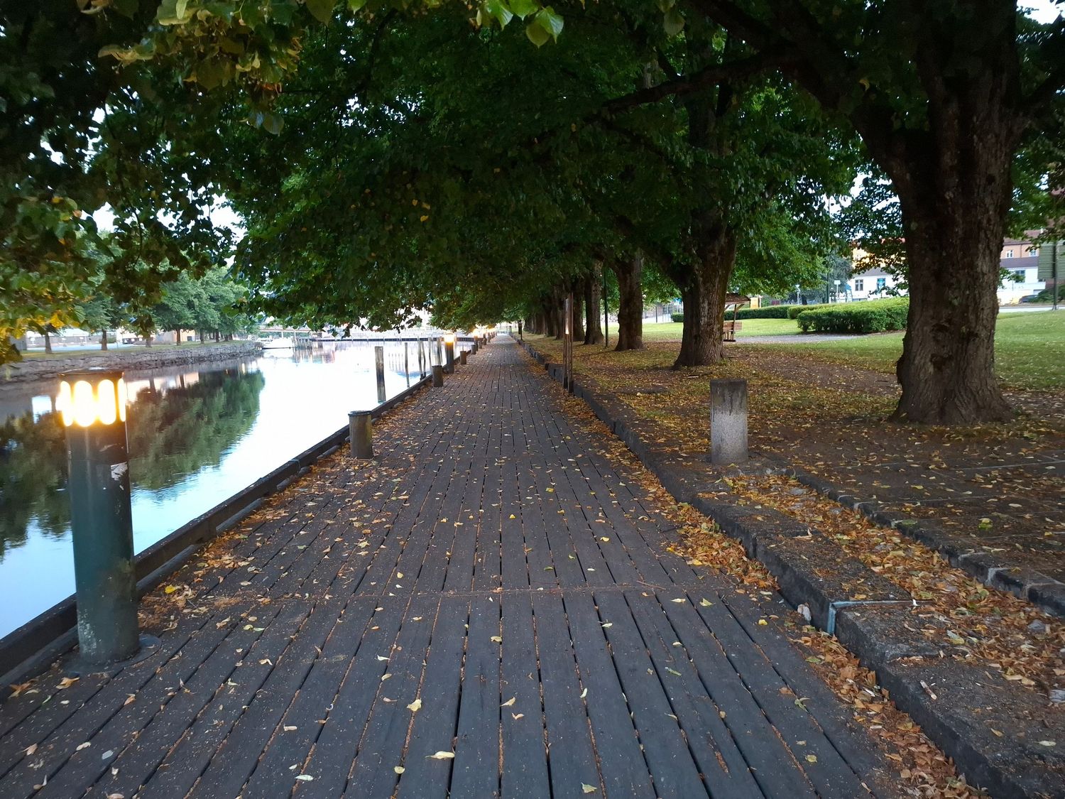 Autumn tree-lined wooden boardwalk path along a calm waterway with fallen leaves scattered on the ground.