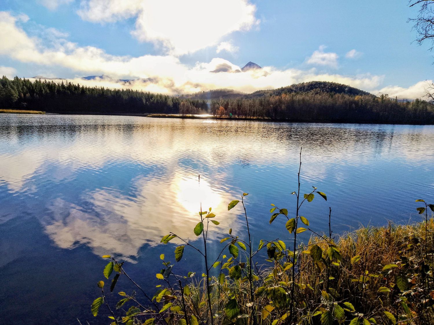 Serene mountain lake reflecting clouds and blue sky, surrounded by evergreen forest and autumn foliage in nature.