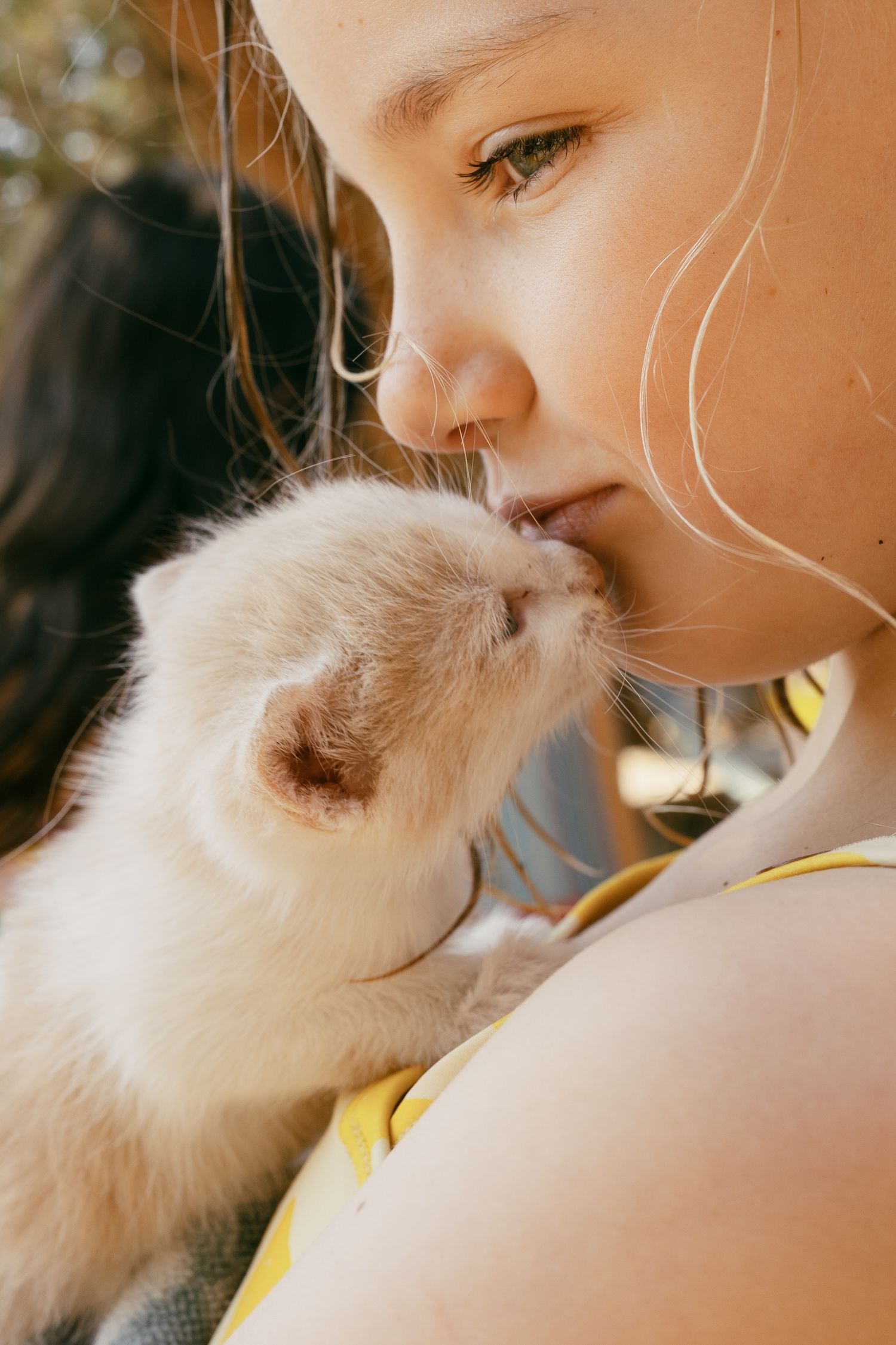Young girl gently nuzzling a small white kitten up close.