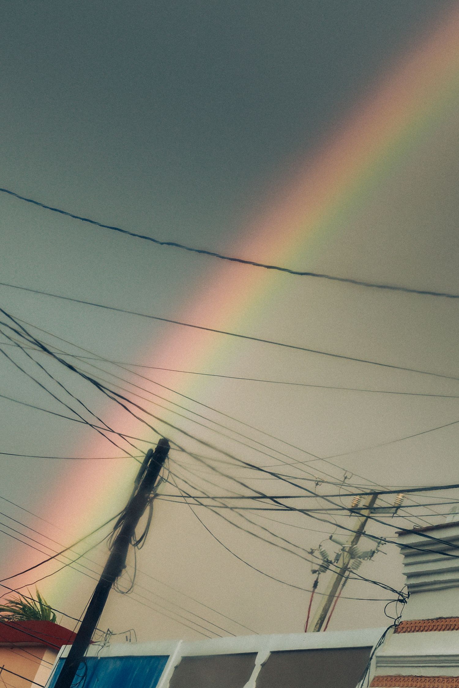 Bright rainbow stretching across a gray sky above utility poles and tangled power lines in a neighborhood.