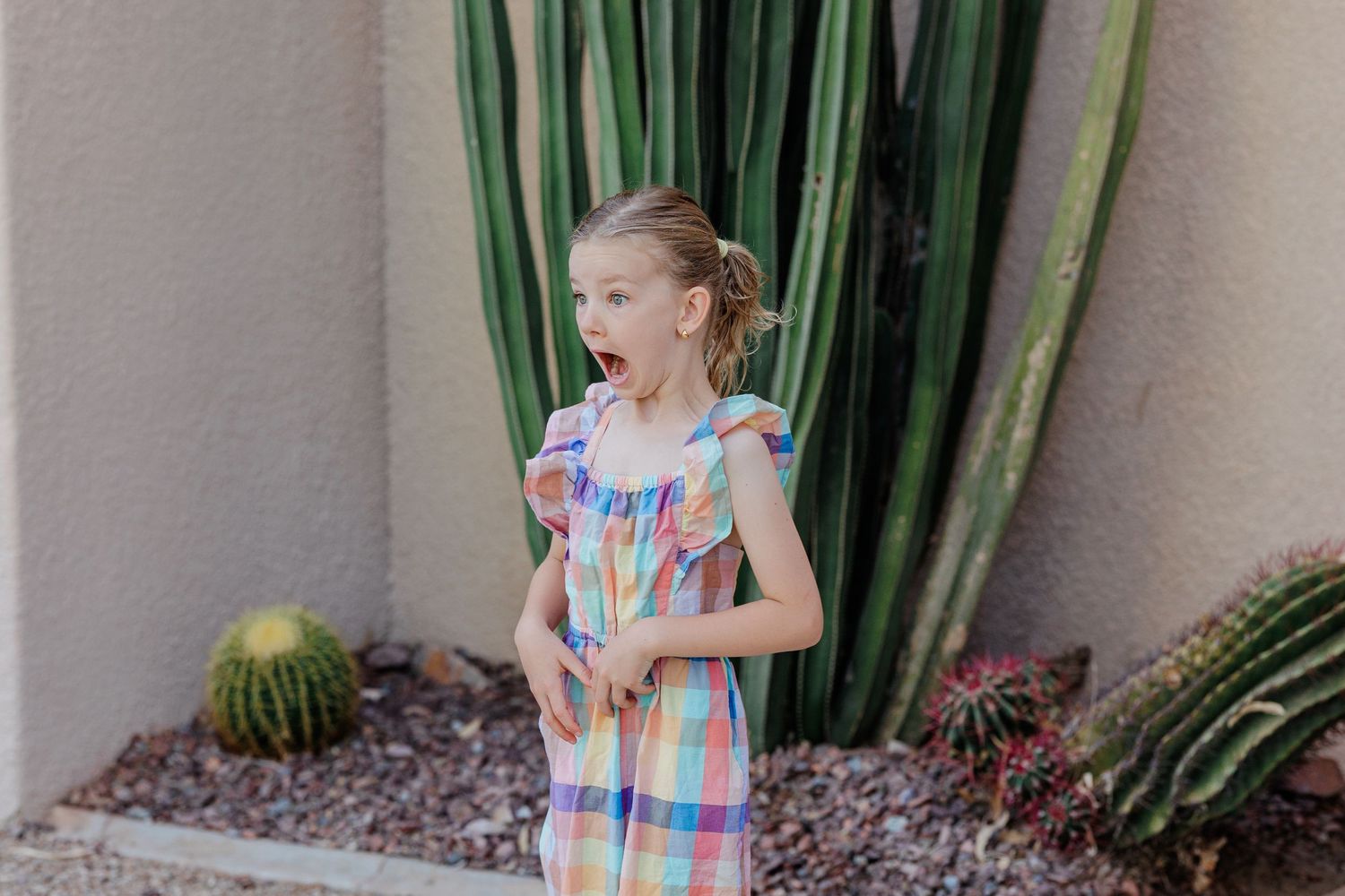 Surprised young girl in rainbow plaid dress standing near tall cactus garden.
