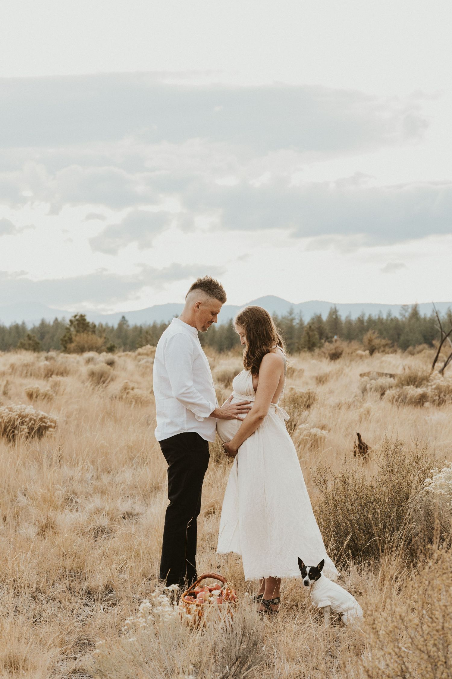 Couple sharing a tender maternity moment in a golden field with a small dog and picnic basket.
