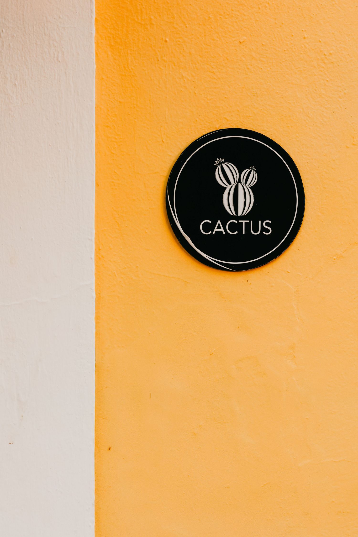 Round black Cactus logo sign mounted on a bright yellow textured wall.
