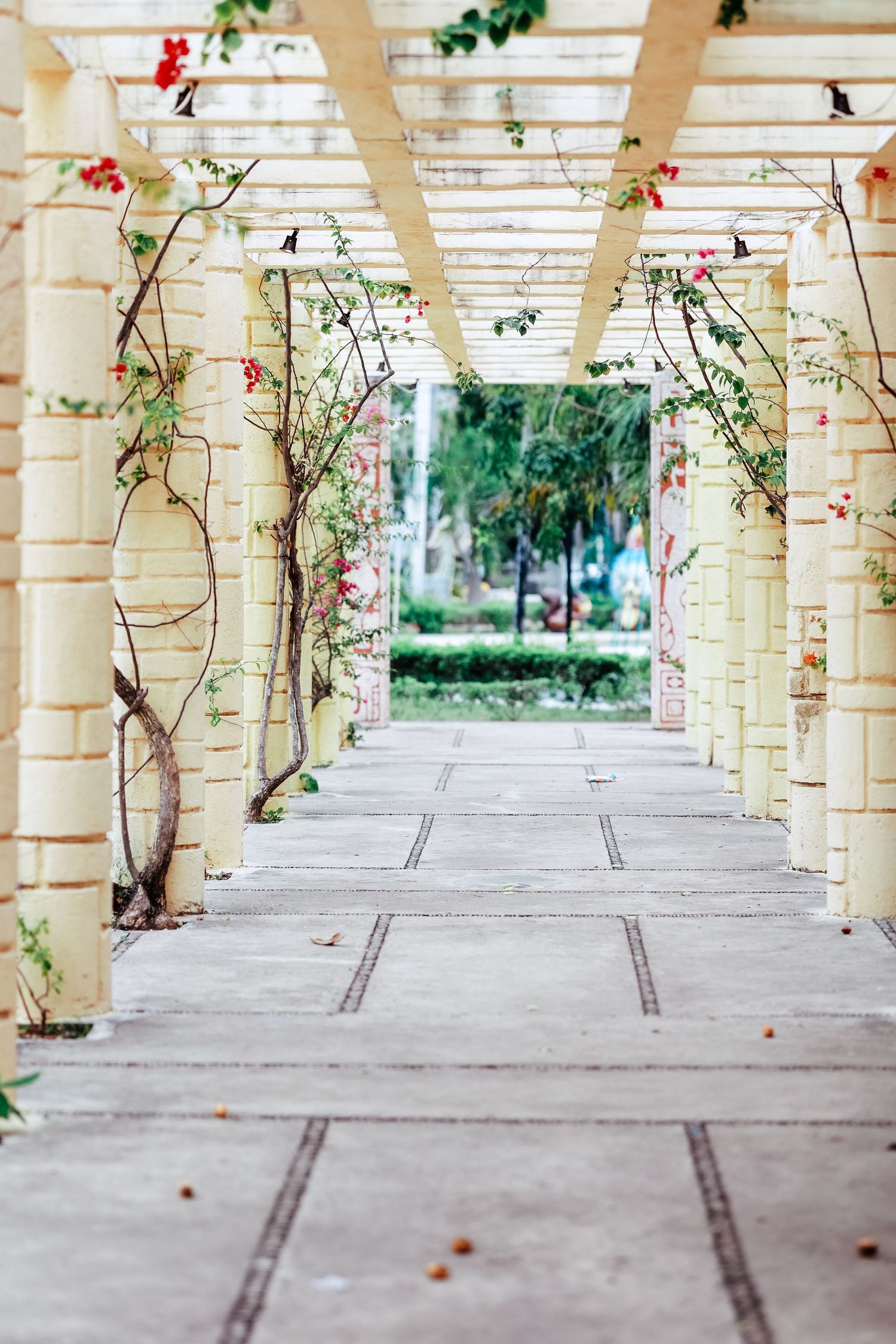 A sunlit pergola walkway with climbing flowering vines on white columns leading to a lush green garden.