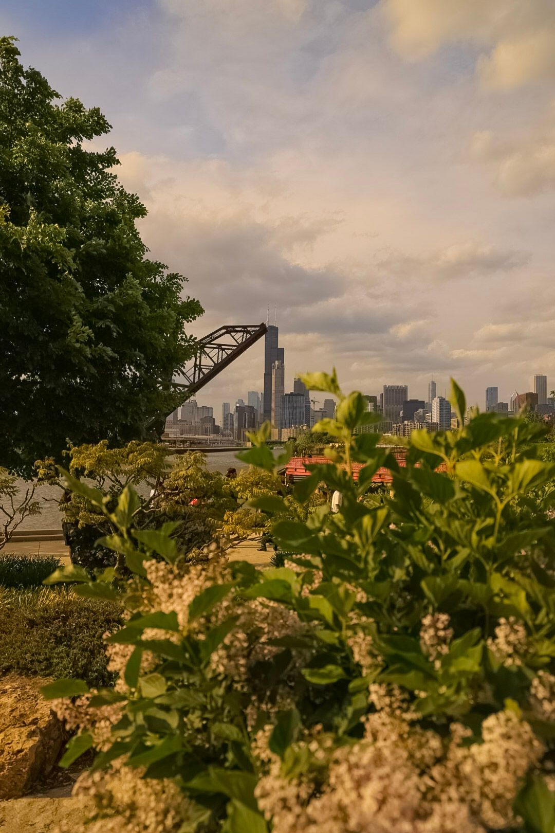 Landscape Photography in Ping Tom Memorial Park.