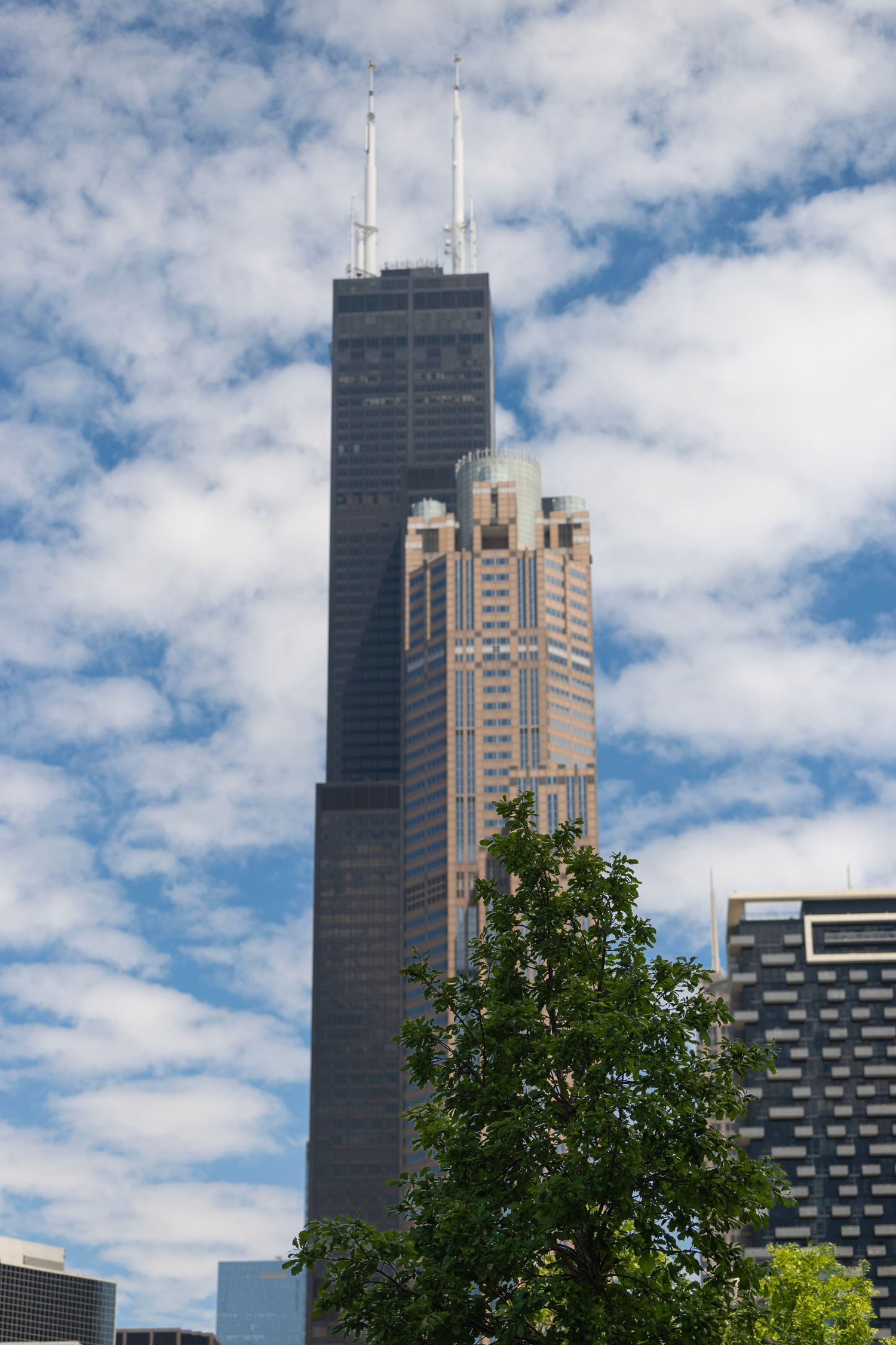 Sears Tower. Landscape Photography, Chicago, Architecture.