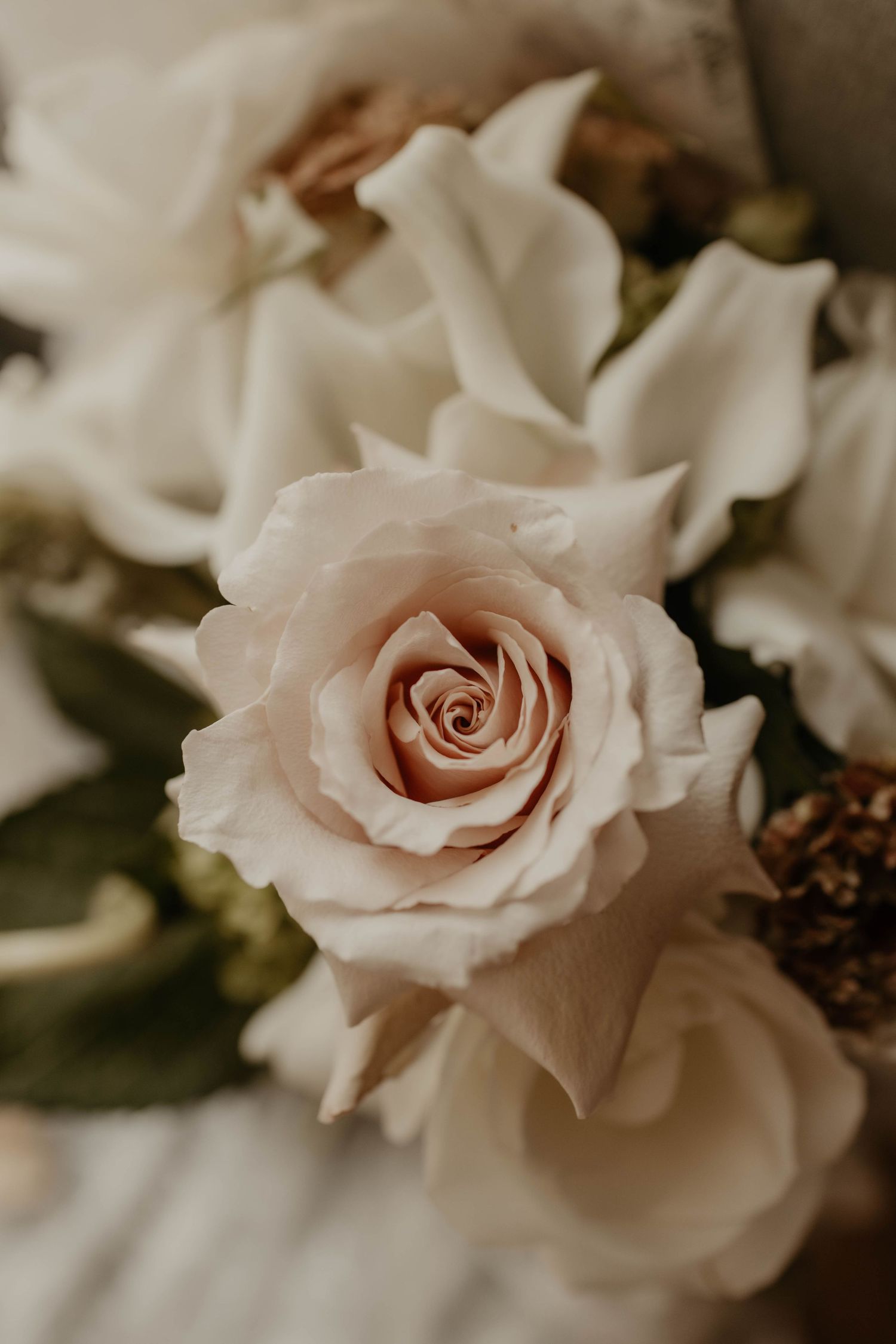 Close-up of a soft blush pink rose surrounded by white roses and green leaves in an elegant floral arrangement.