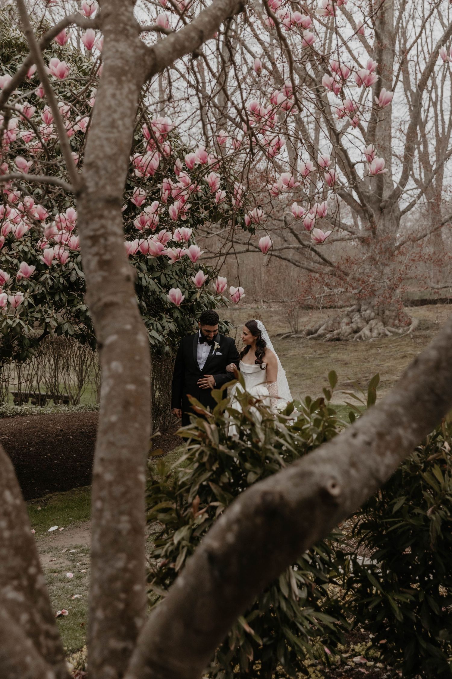 Bride and groom share romantic moment under blooming pink magnolia trees in garden wedding portrait.

top rated RI wedding photographer