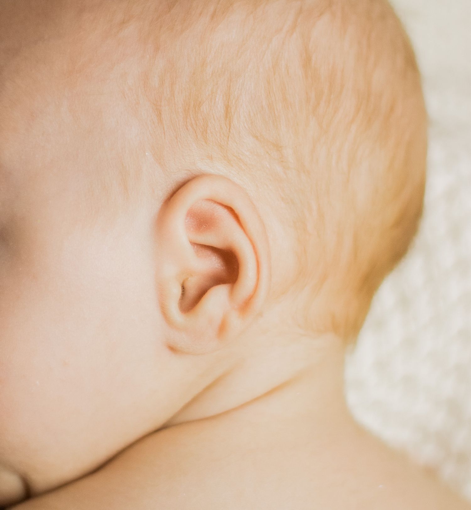 Close-up view of a baby's ear and side profile against a white background.