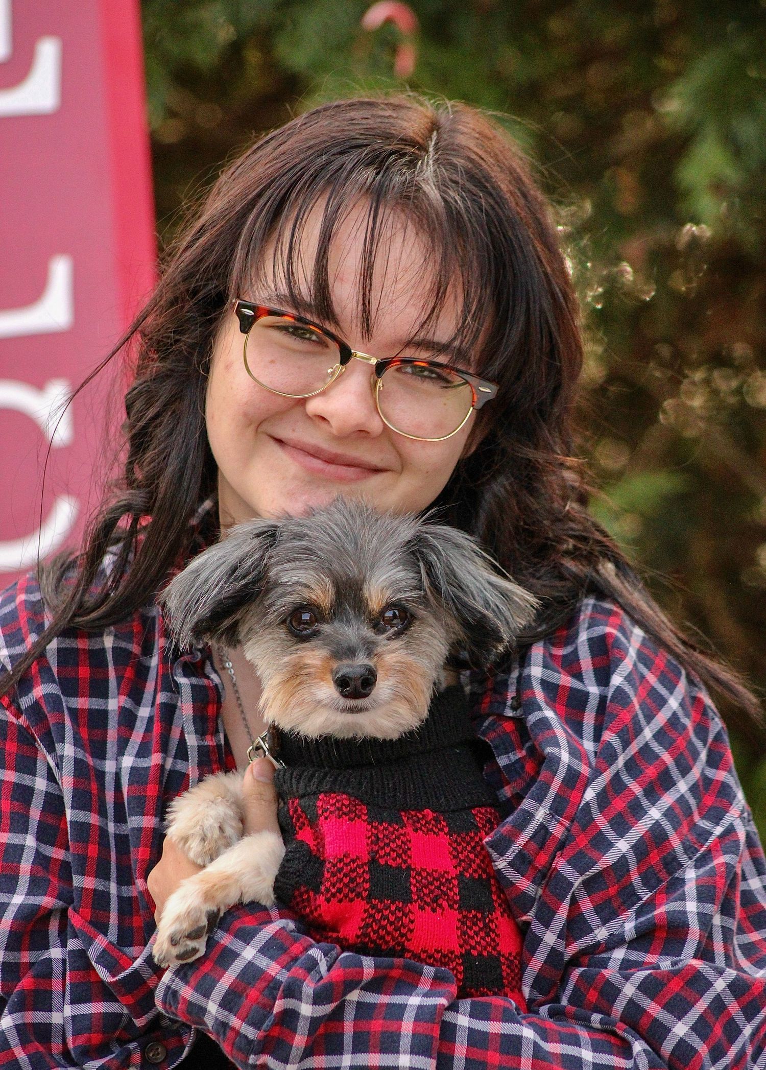 A small gray dog wearing a red buffalo plaid sweater poses with someone in a plaid shirt in a series of photos.
