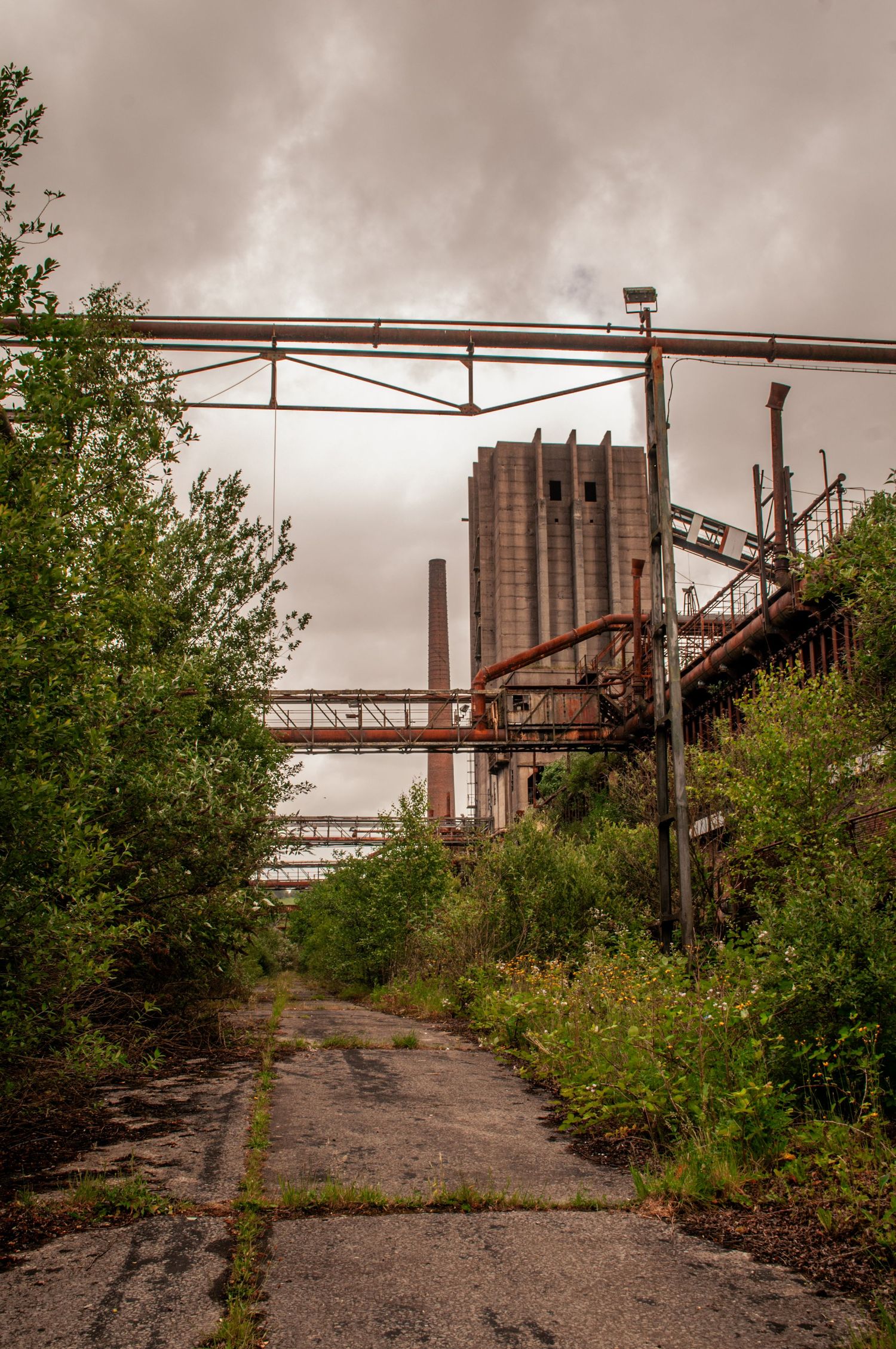 Overgrown road leading toward tall industrial structures and rusted pipework, framed by dense vegetation under a grey sky. cwm coke works