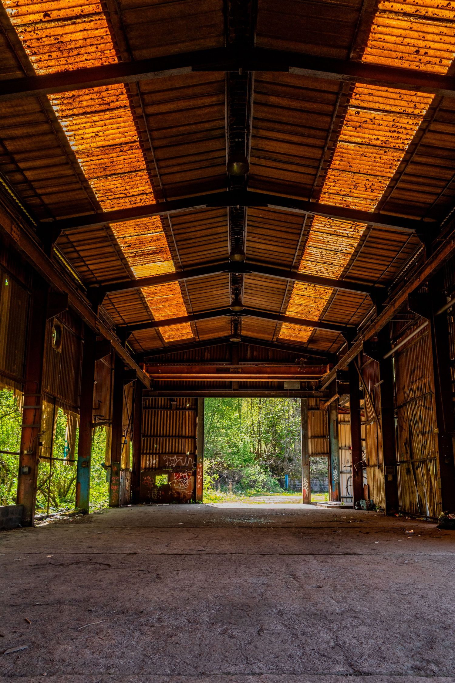 Interior of an abandoned warehouse with long skylights casting warm light onto the empty floor, opening out to greenery at the far end.