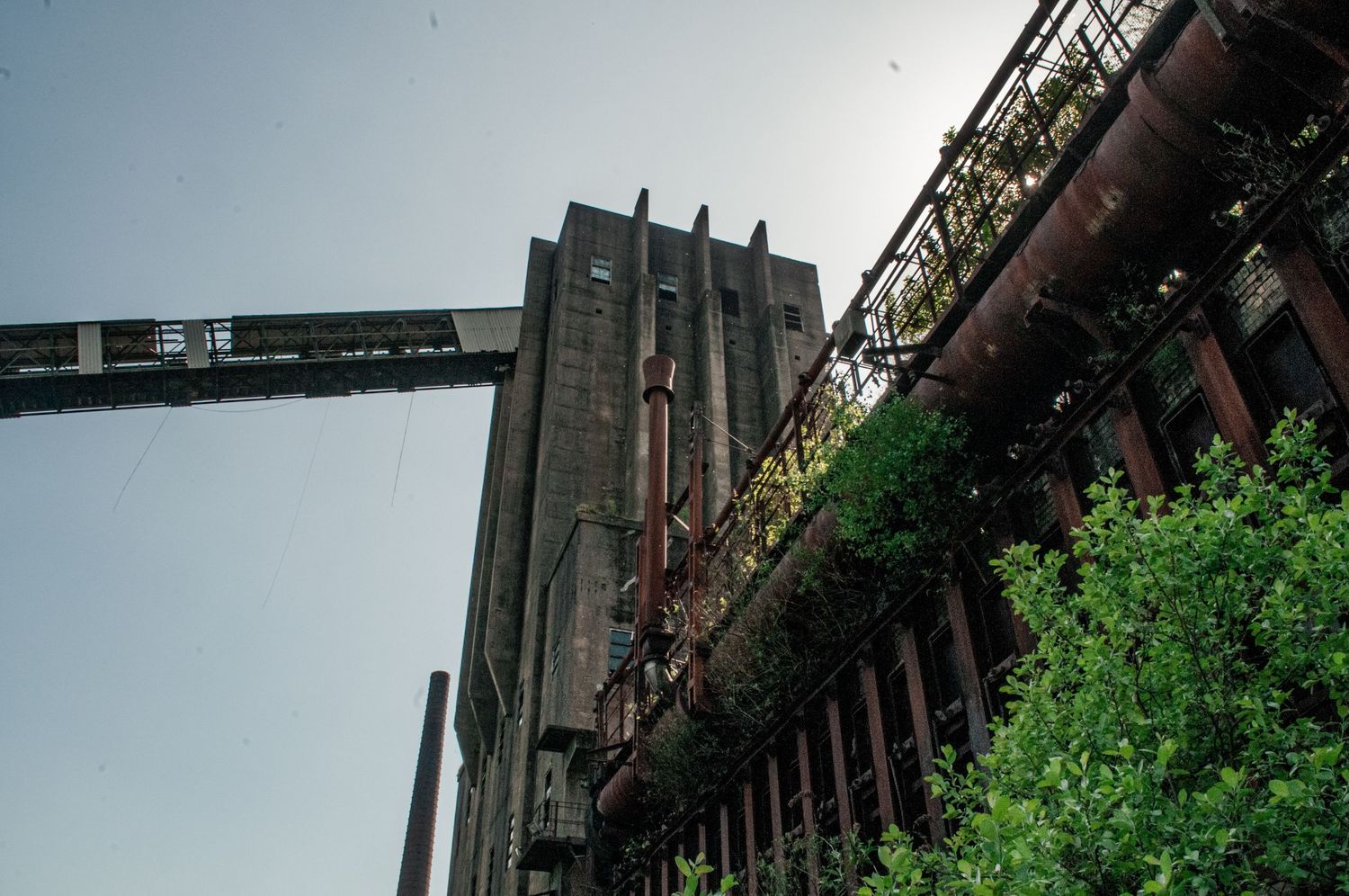 Upward view of a towering industrial building with rusted pipework partially reclaimed by climbing greenery. cwm coke works beddau urbex