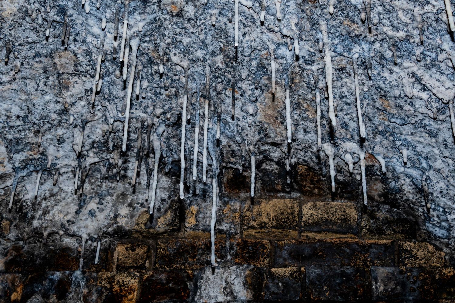 Close-up of a decayed interior wall covered in dark mould and stalactites heavy rust streaks and water damage inside an abandoned building.”