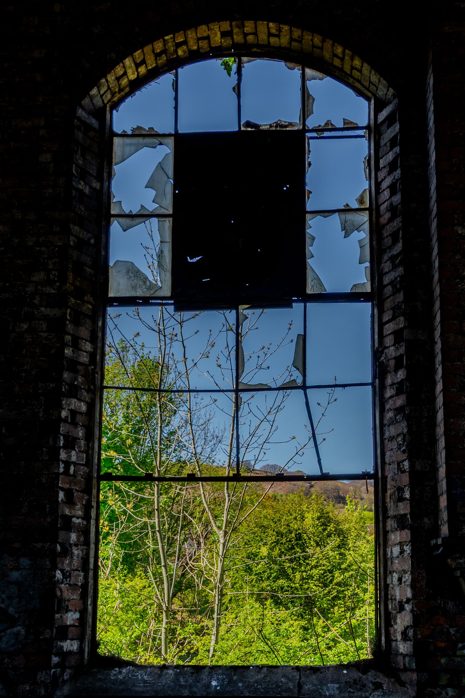 Tall arched window in a derelict building, with broken panes revealing trees and greenery outside. ash olion photography. welsh coalfield.