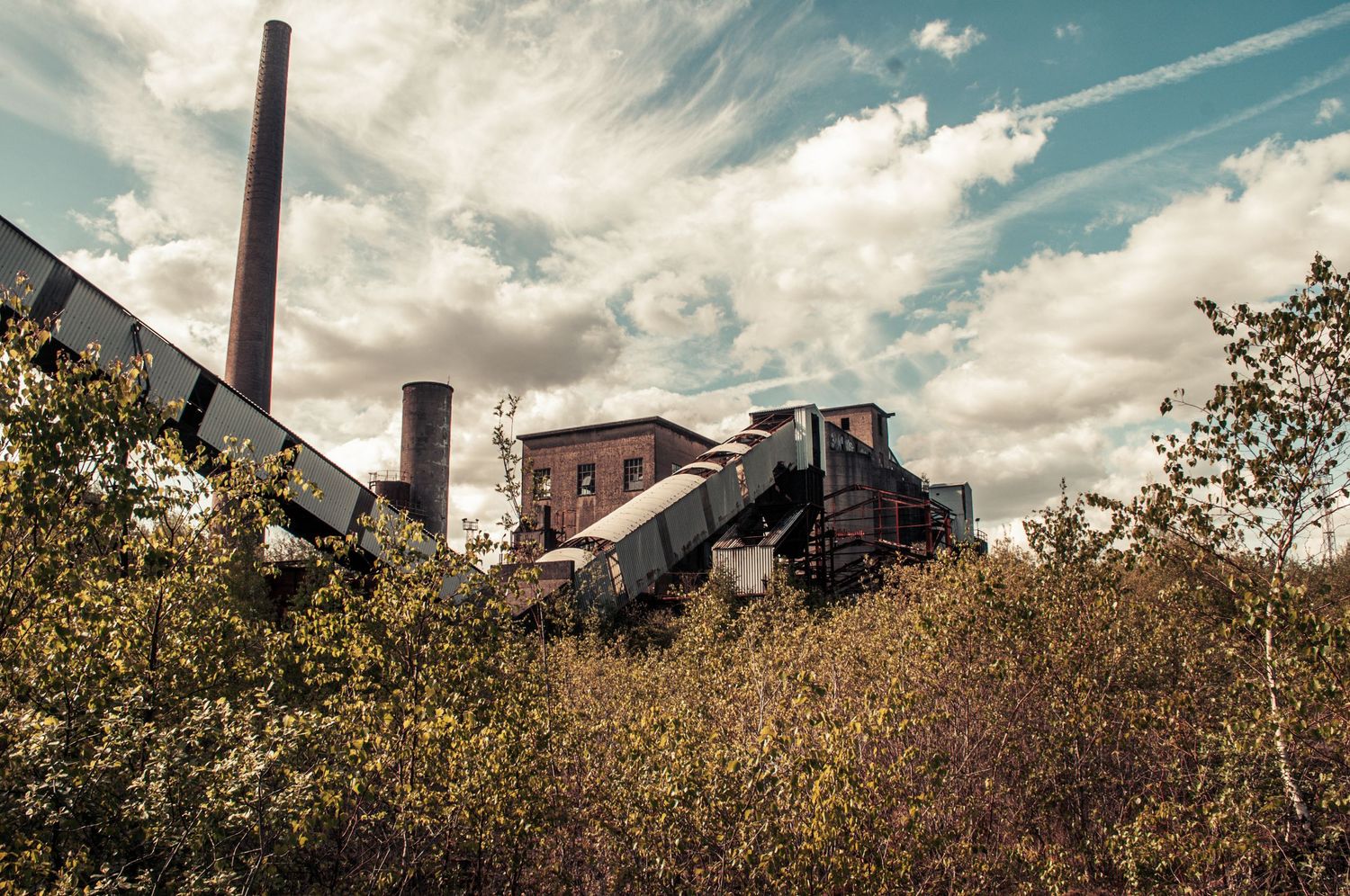 Partially collapsed industrial machinery rising above thick overgrowth under a bright sky with scattered clouds. cwm coke works beddau