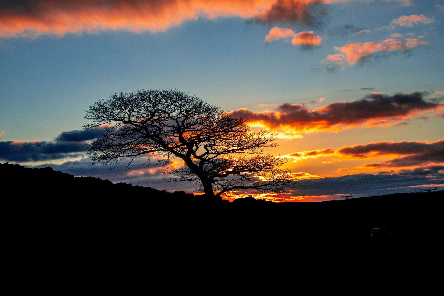 Silhouette of a lone tree against a dramatic sunset sky with vibrant orange, pink, and blue clouds.  ash olion photography. nature, skies,