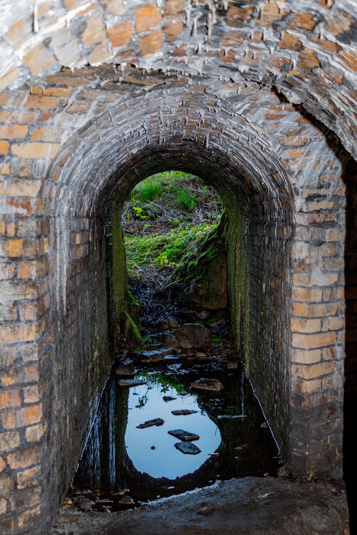 Old brick tunnel with water pooled on the floor, reflecting the arched entrance and greenery outside. merthyr ironworks. ash olion. urbex.