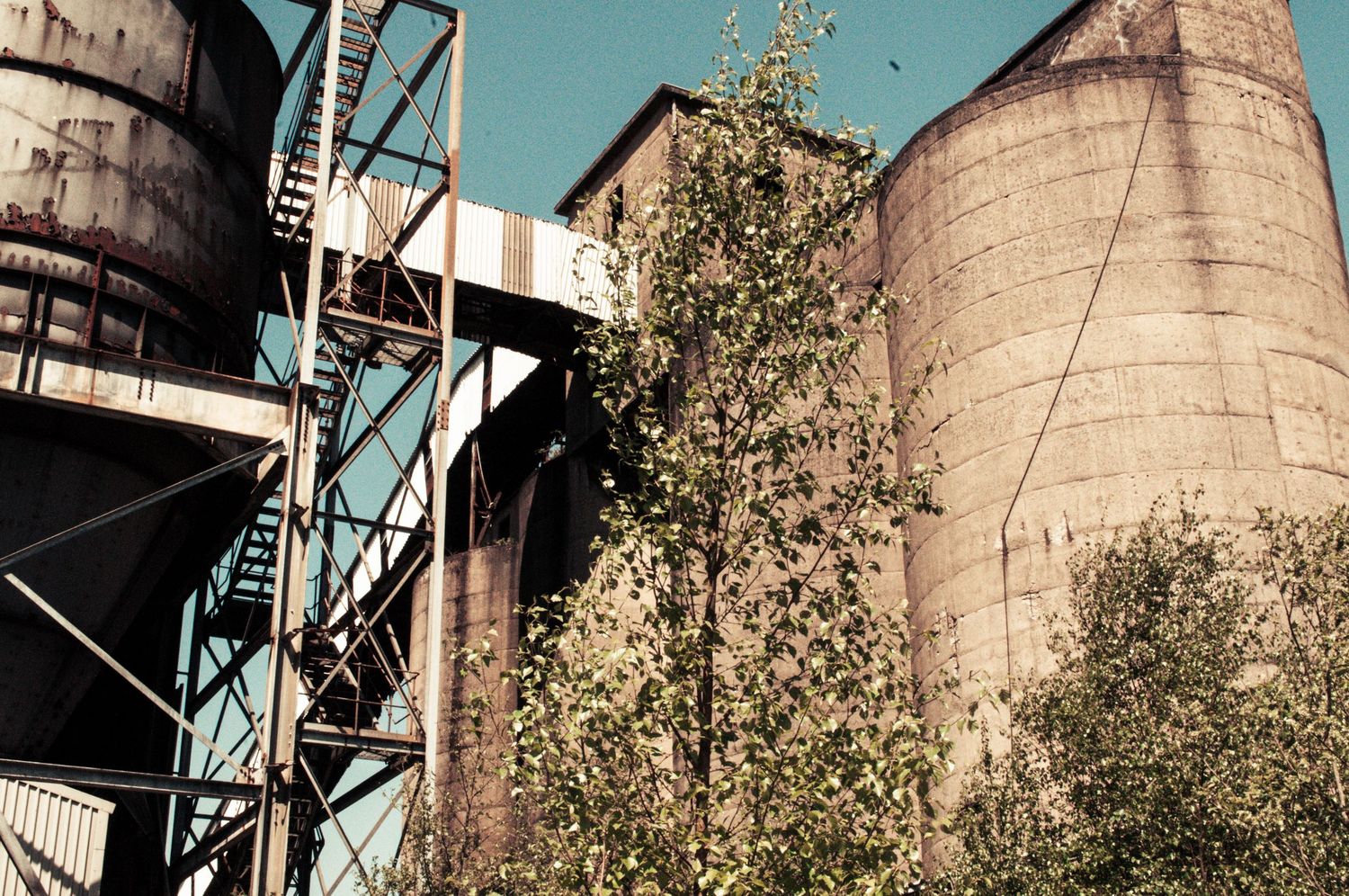 Close-up view of concrete silos and rusted metal stair structures, partially obscured by overgrown trees beneath a clear blue sky ash olion