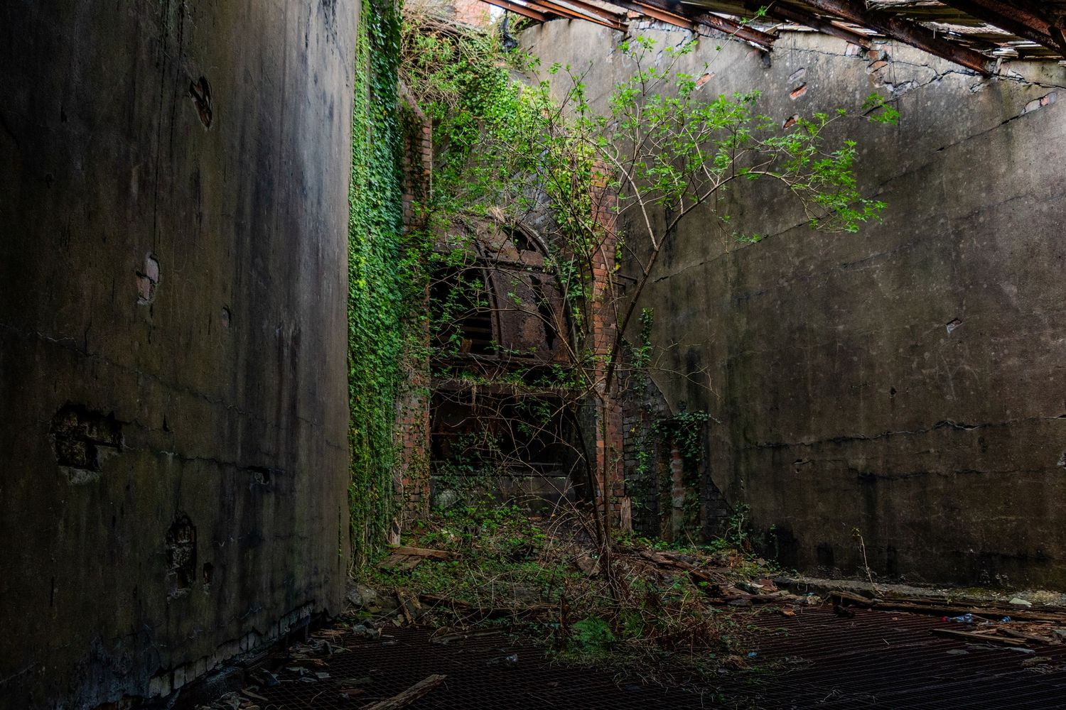 Dark concrete shaft entrance overtaken by nature, with vines, trees, moss growing beneath a partially collapsed ceiling. ash olion cwm coke