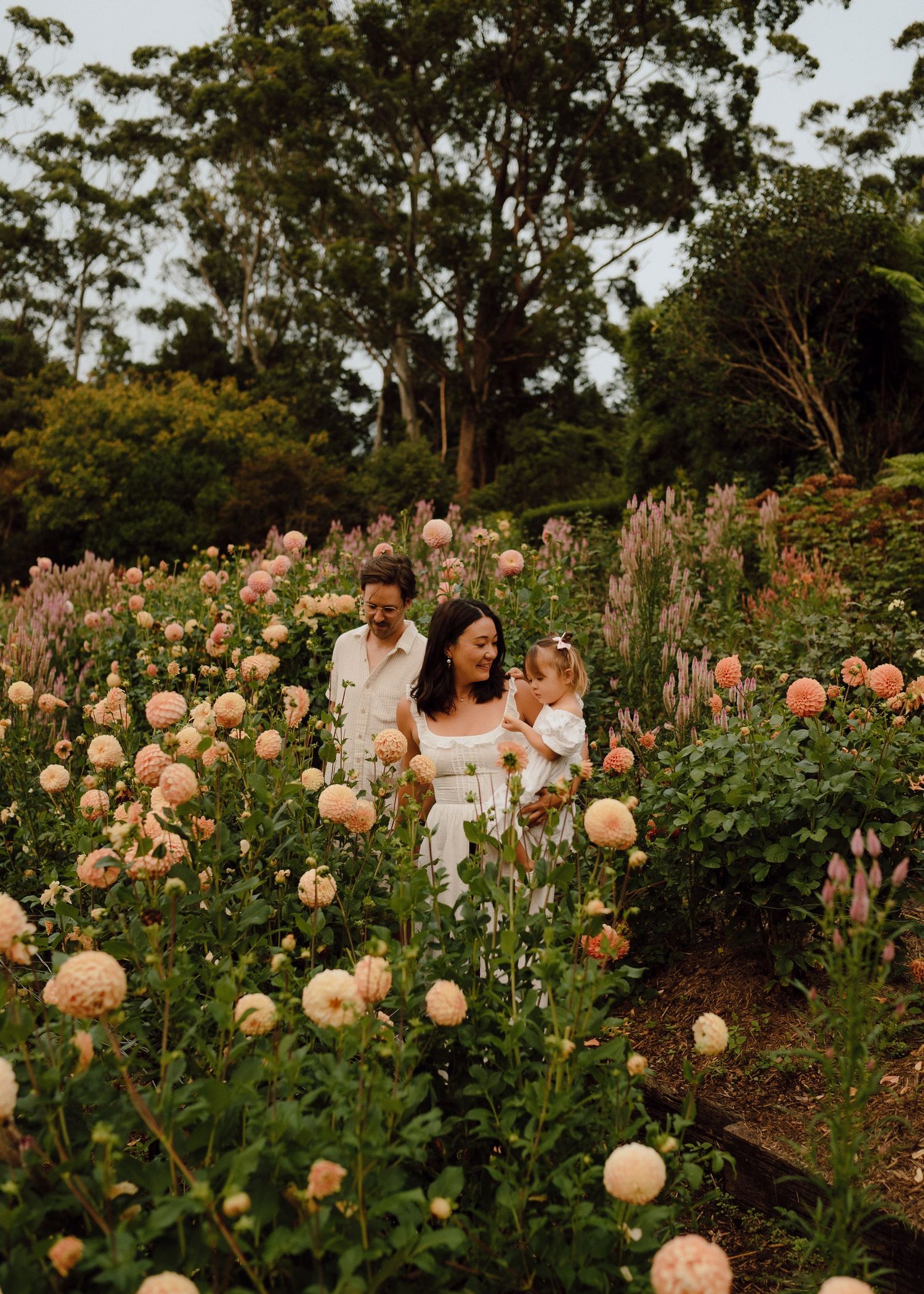 Family of three walking through a lush garden filled with blooming peach dahlias and pink flowers.