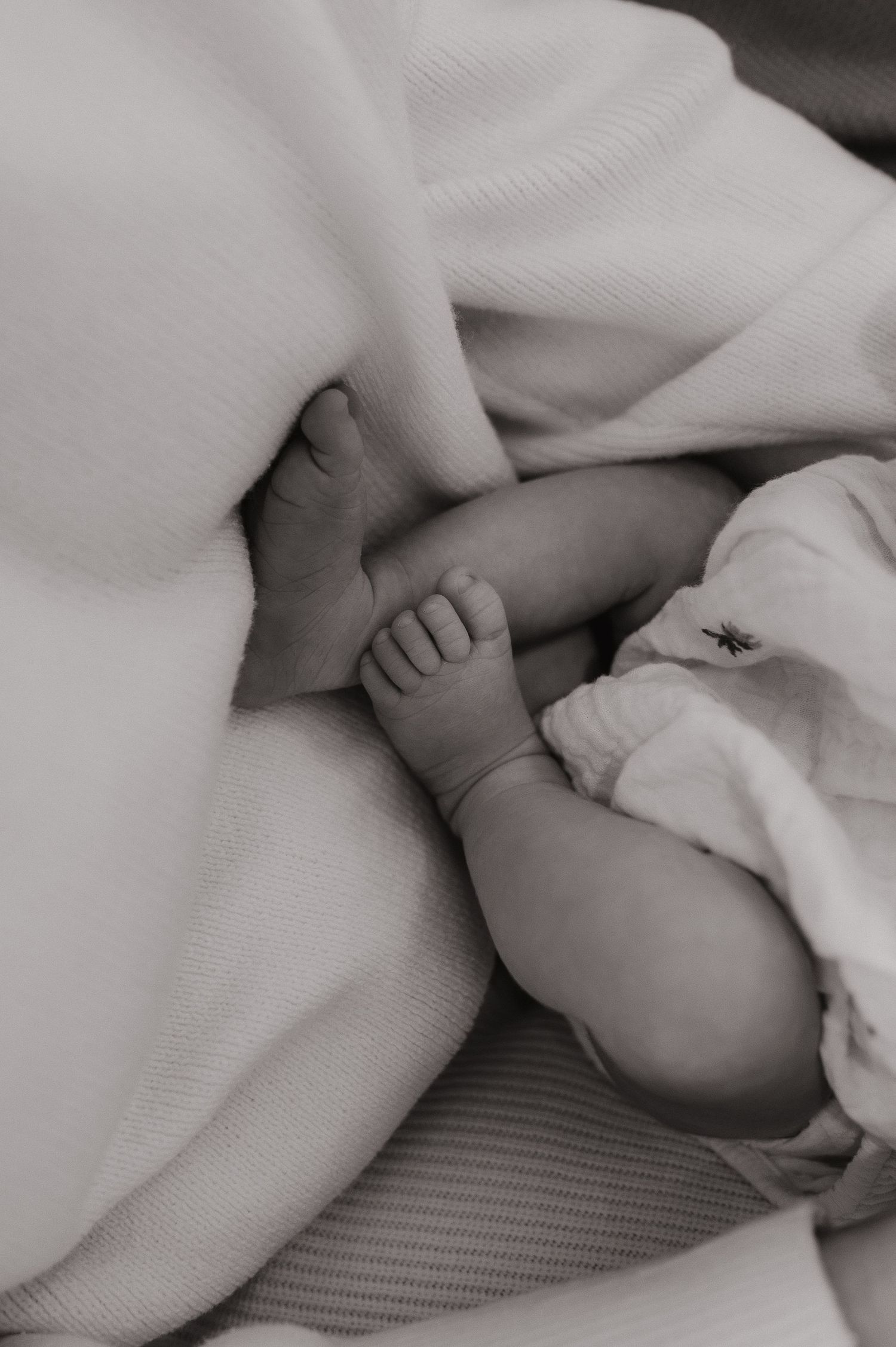 Black and white photo of a newborn baby's tiny hands and feet wrapped in soft white blankets.