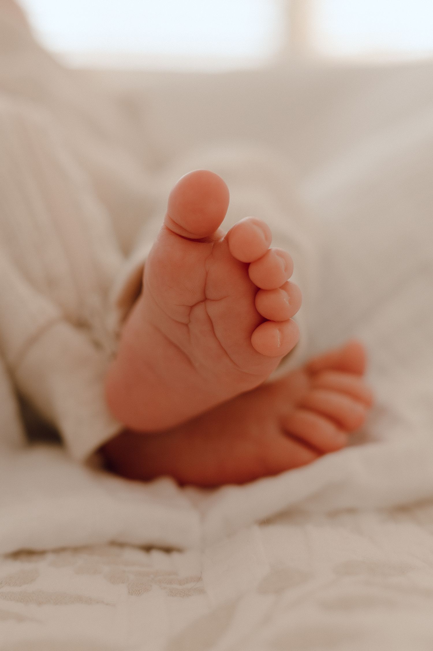 Close-up of tiny newborn baby feet resting on soft white blanket, perfect newborn photography detail shot.