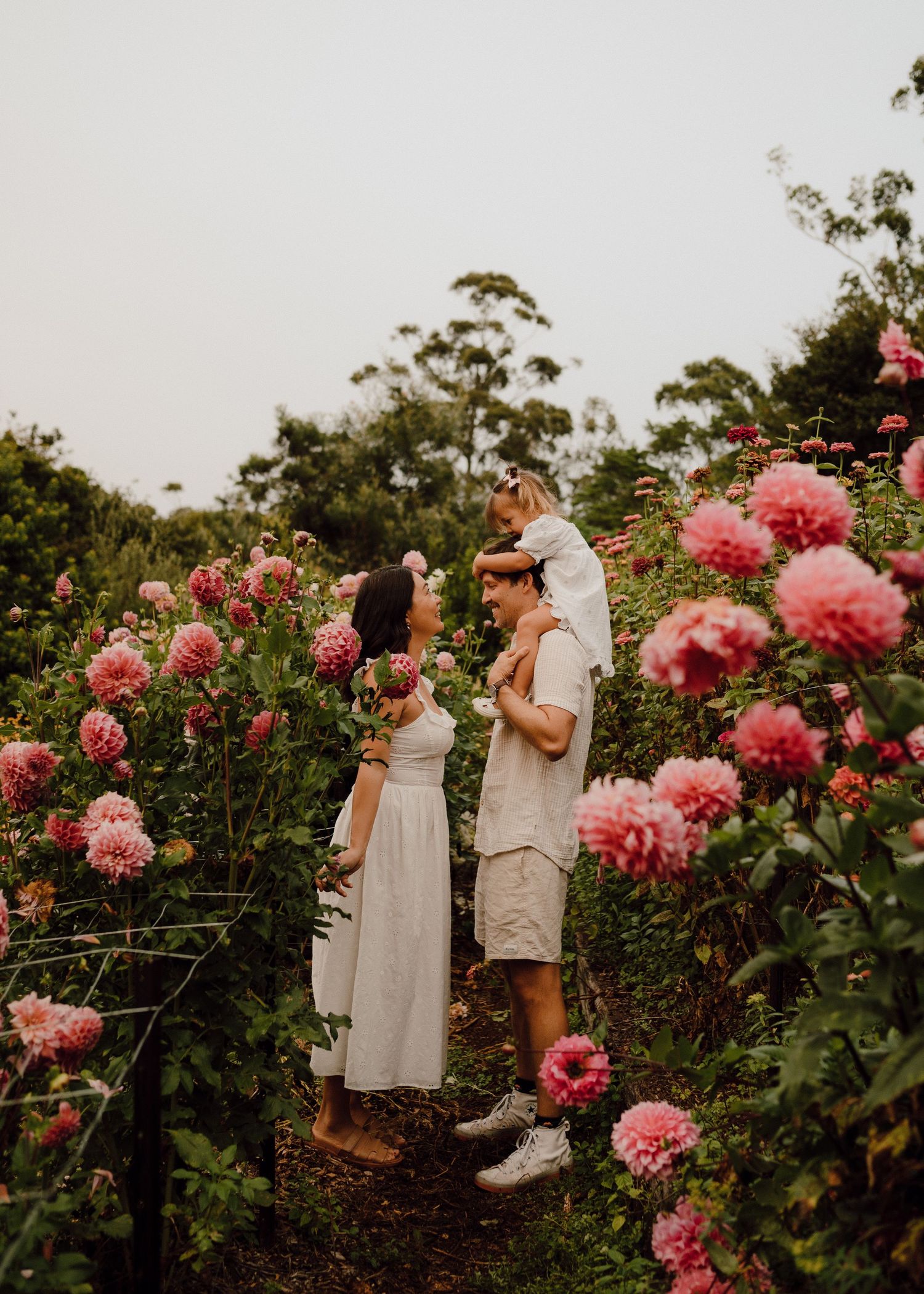 Family of three surrounded by pink dahlias in a lush garden, parents gazing at child on shoulders.