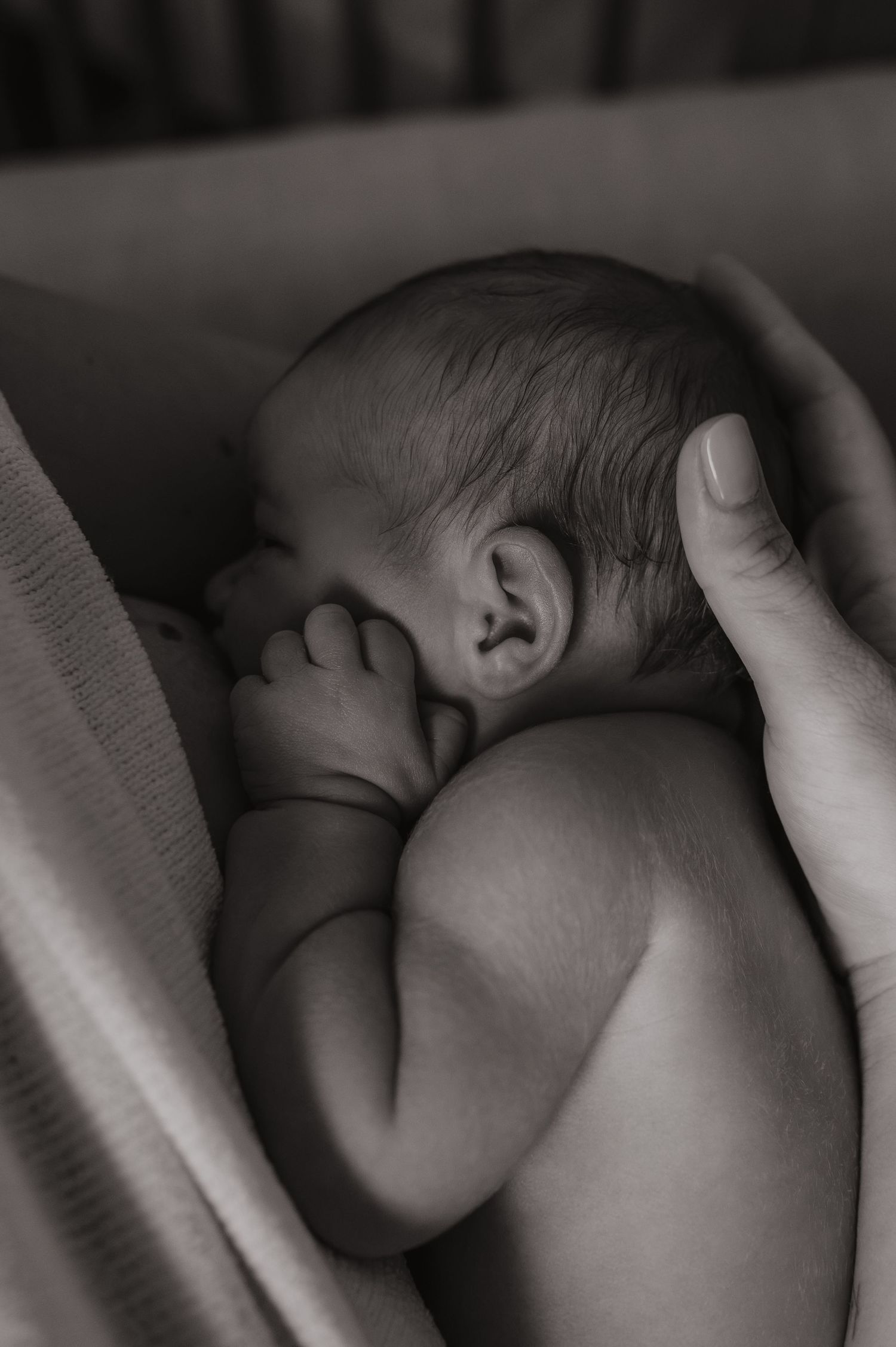 Black and white photo of a sleeping newborn baby cradled in a parent's hand, curled up peacefully.