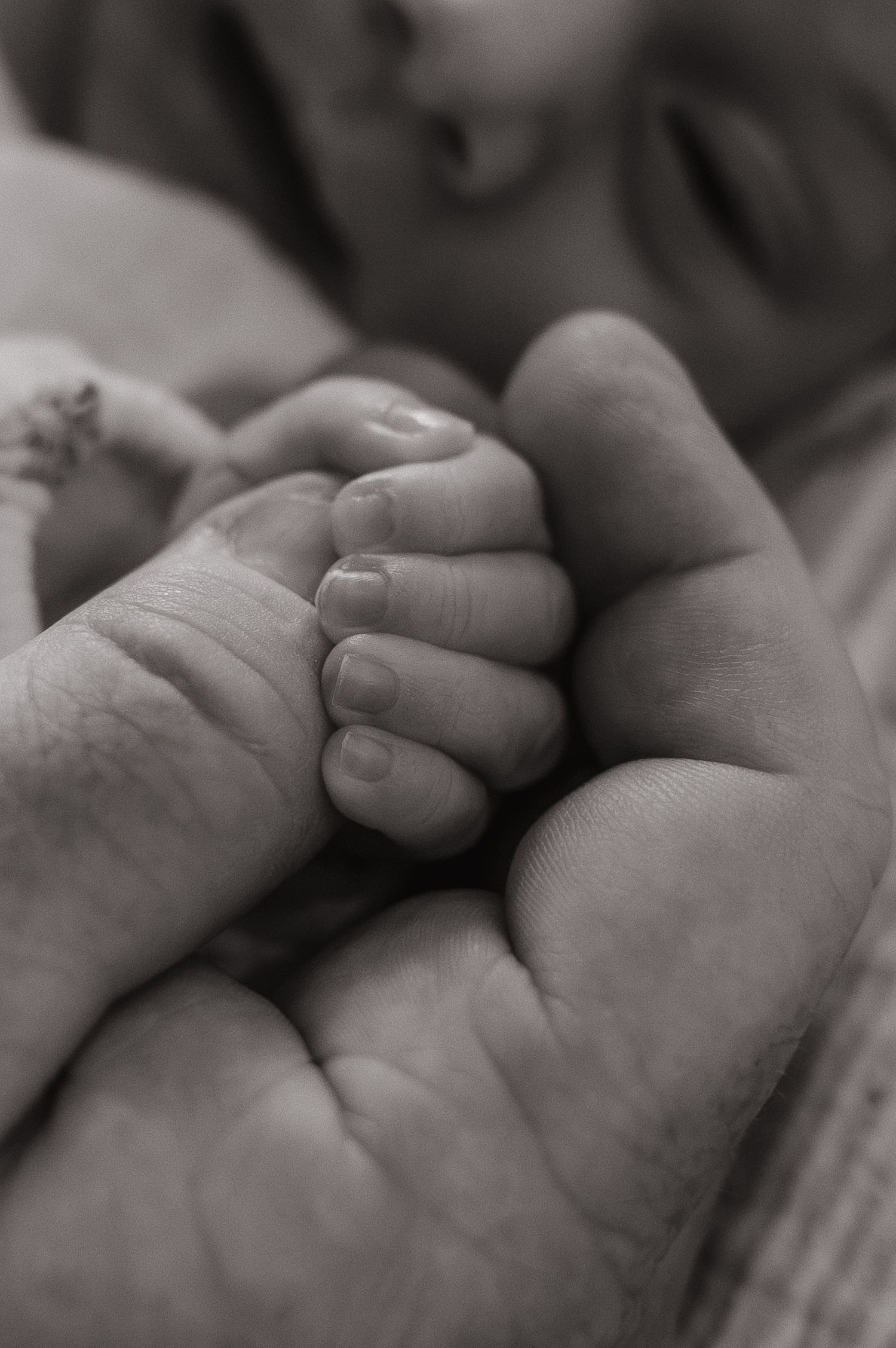 Black and white photo of a newborn baby's tiny fist grasping an adult's finger, symbolizing new life and parental bond.
