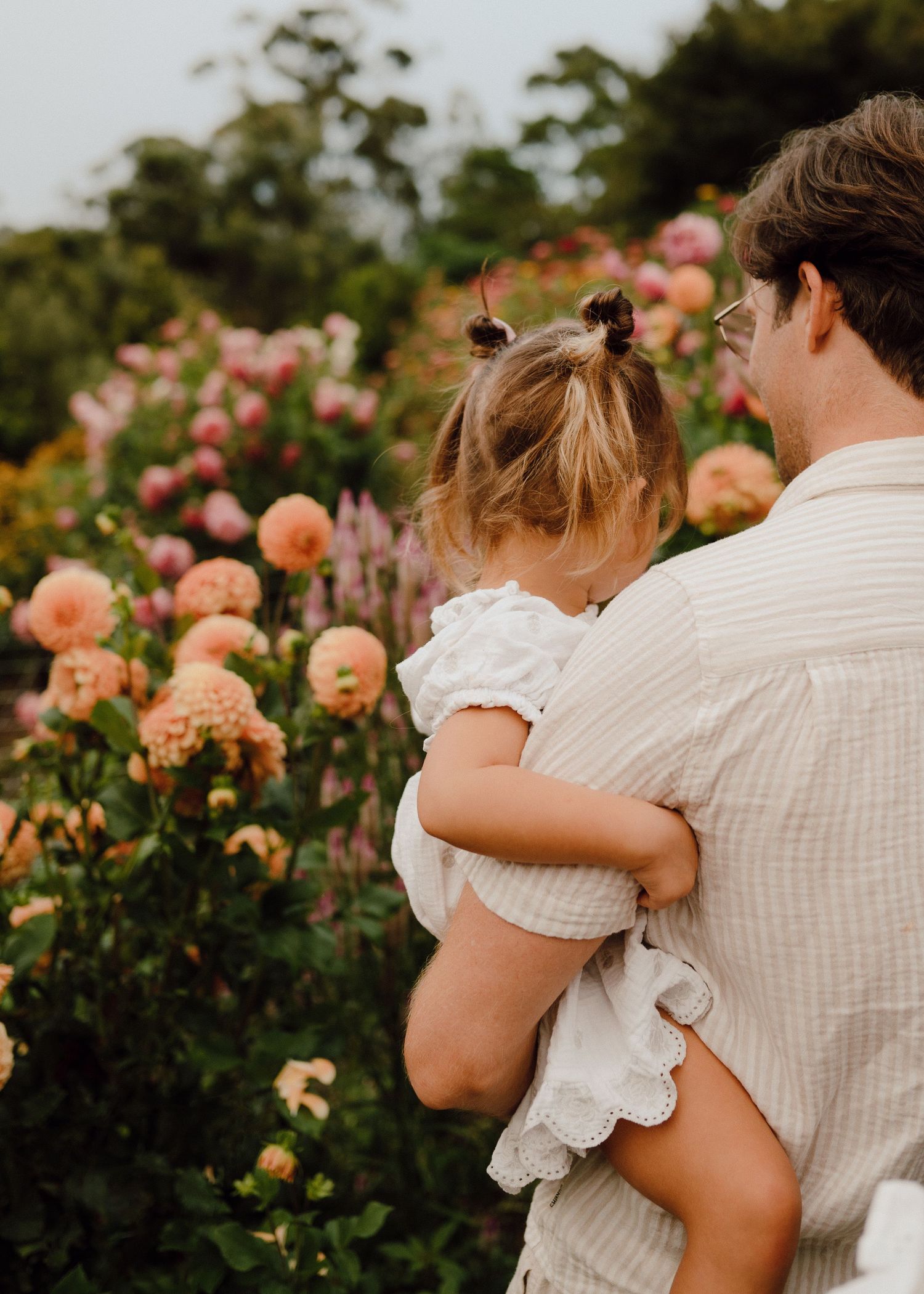 A father holds his young daughter while admiring a vibrant garden of pink and peach dahlias in bloom.