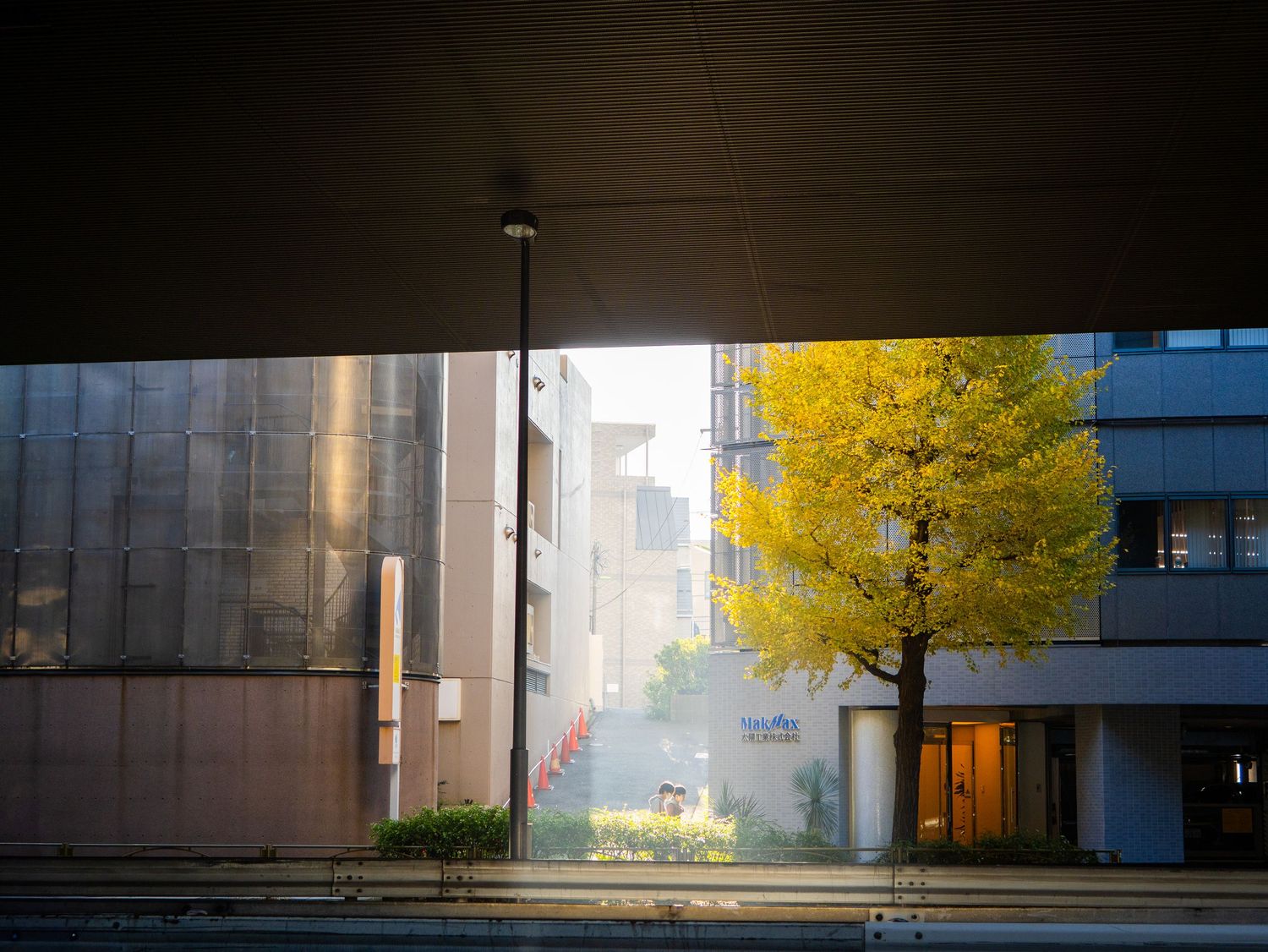 Modern city buildings with dark facades against a bright sky and autumn trees.