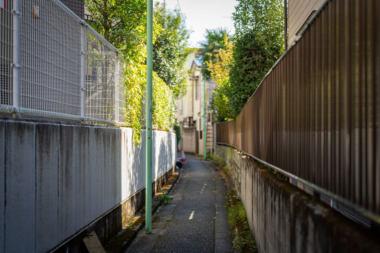 Long narrow alley between concrete buildings with green foliage visible overhead.