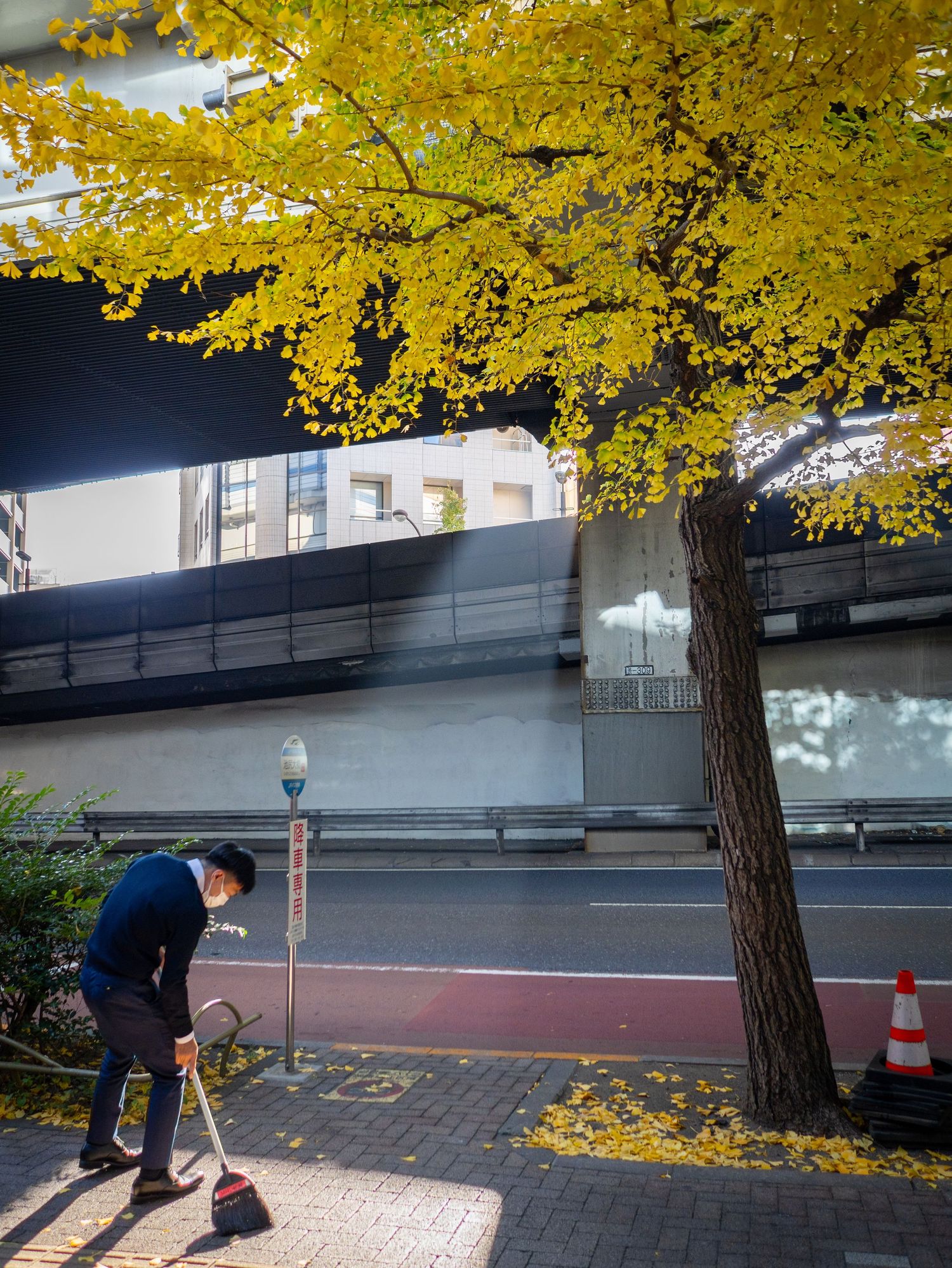 Yellow autumn leaves frame an urban sidewalk scene with modern buildings and street furniture.