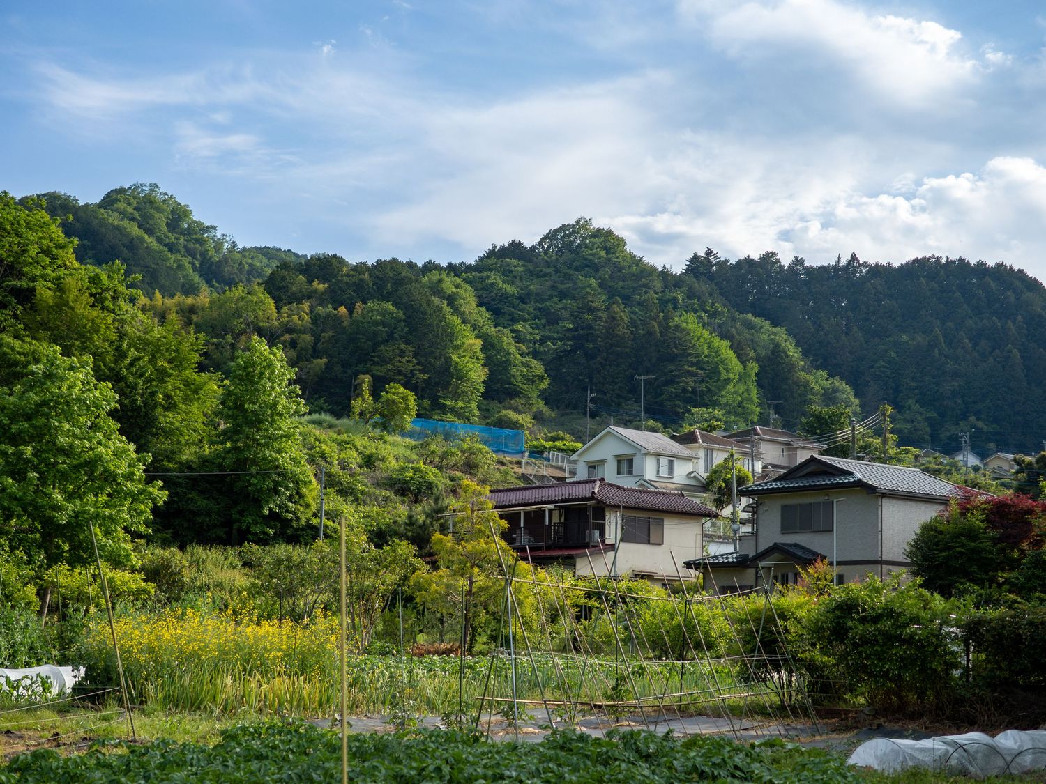 Rural Japanese village nestled among lush green hills with traditional houses and farmland under a partly cloudy sky.
